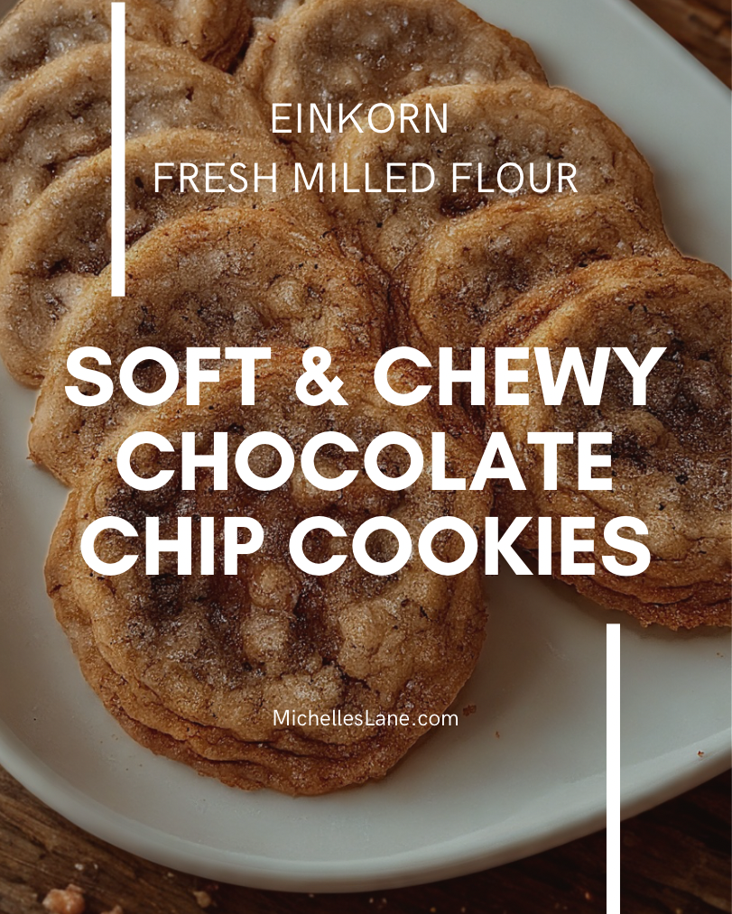 Fresh Milled Flour Chocolate Chip Cookies