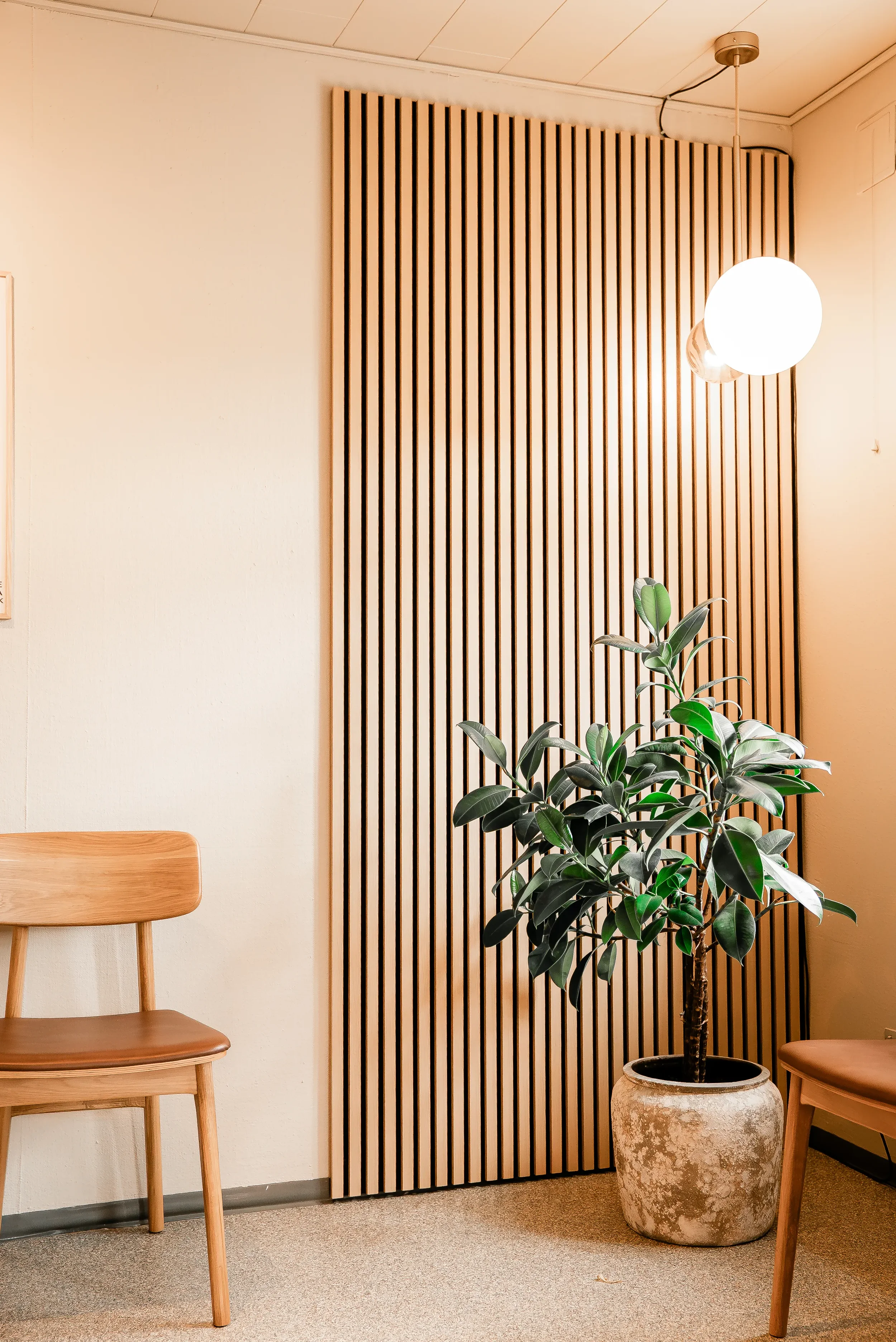 Indendørs rum med to træstole, en stor grøn plante i en keramisk potte, en væg beklædt med lodrette trælameller og en loftlampe, der lyser.