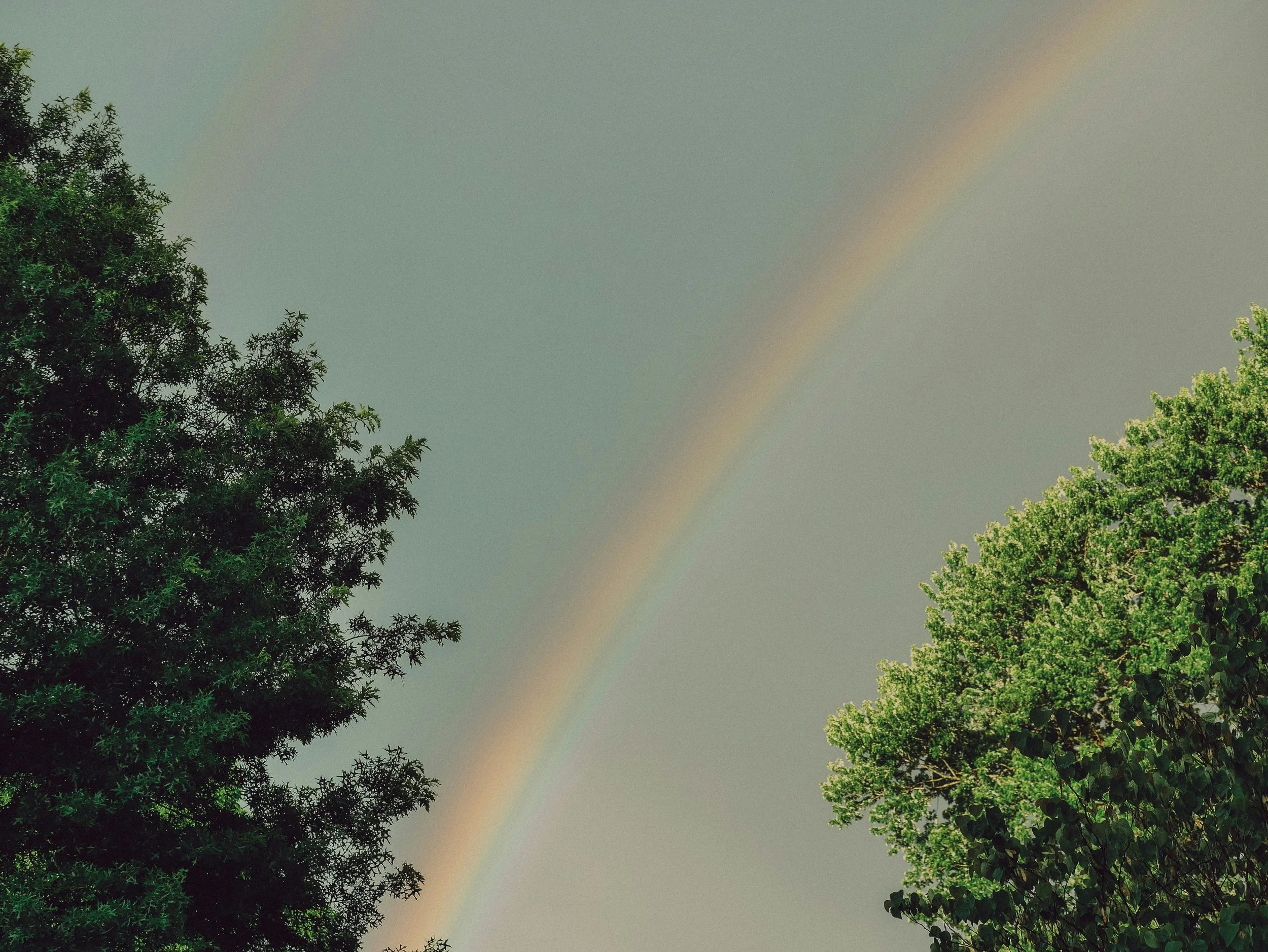 Making Room for the Rainbow: A Conversation About GLP-1 Medications and Eating Disorders