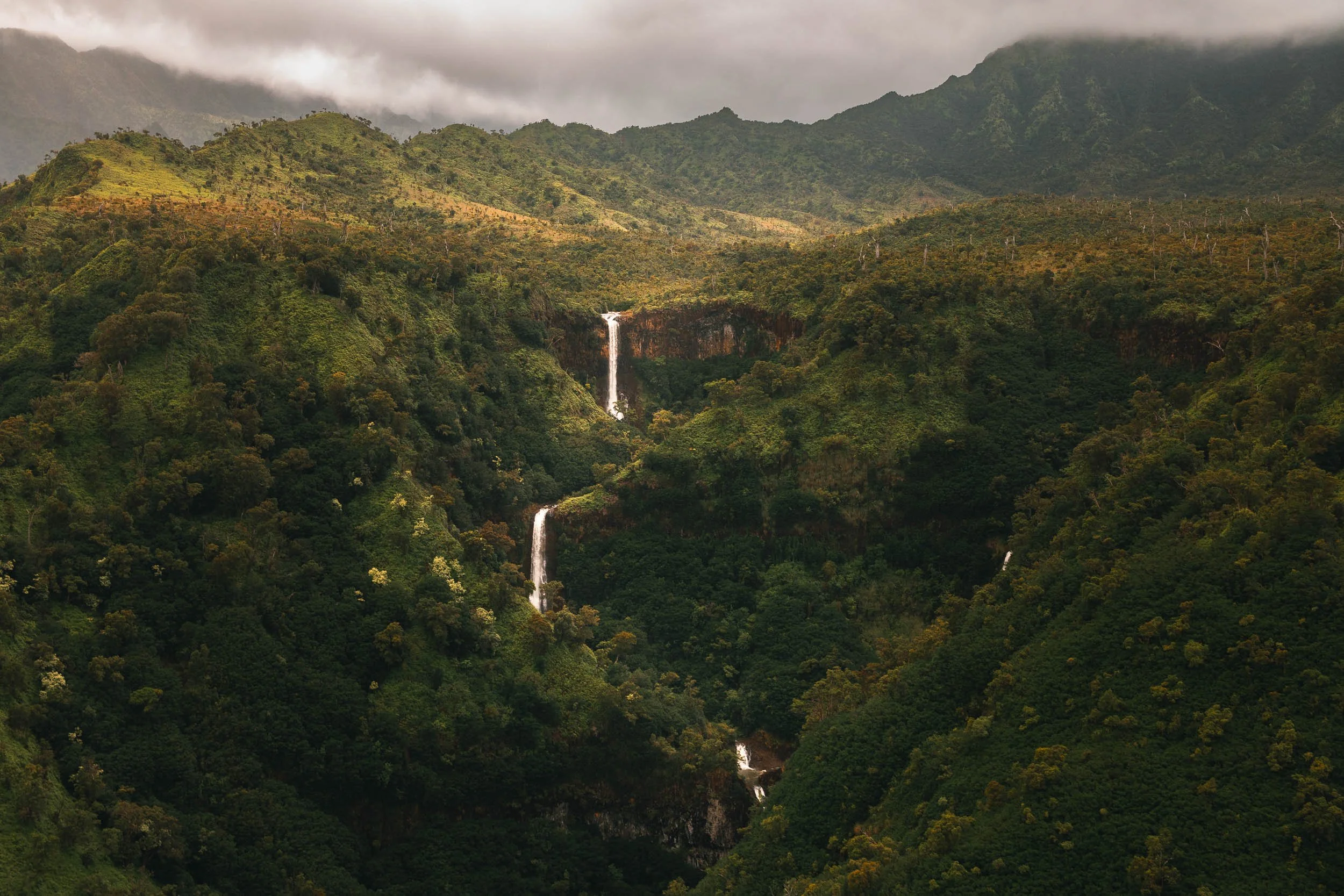 534A5254-Squarespace.jpg