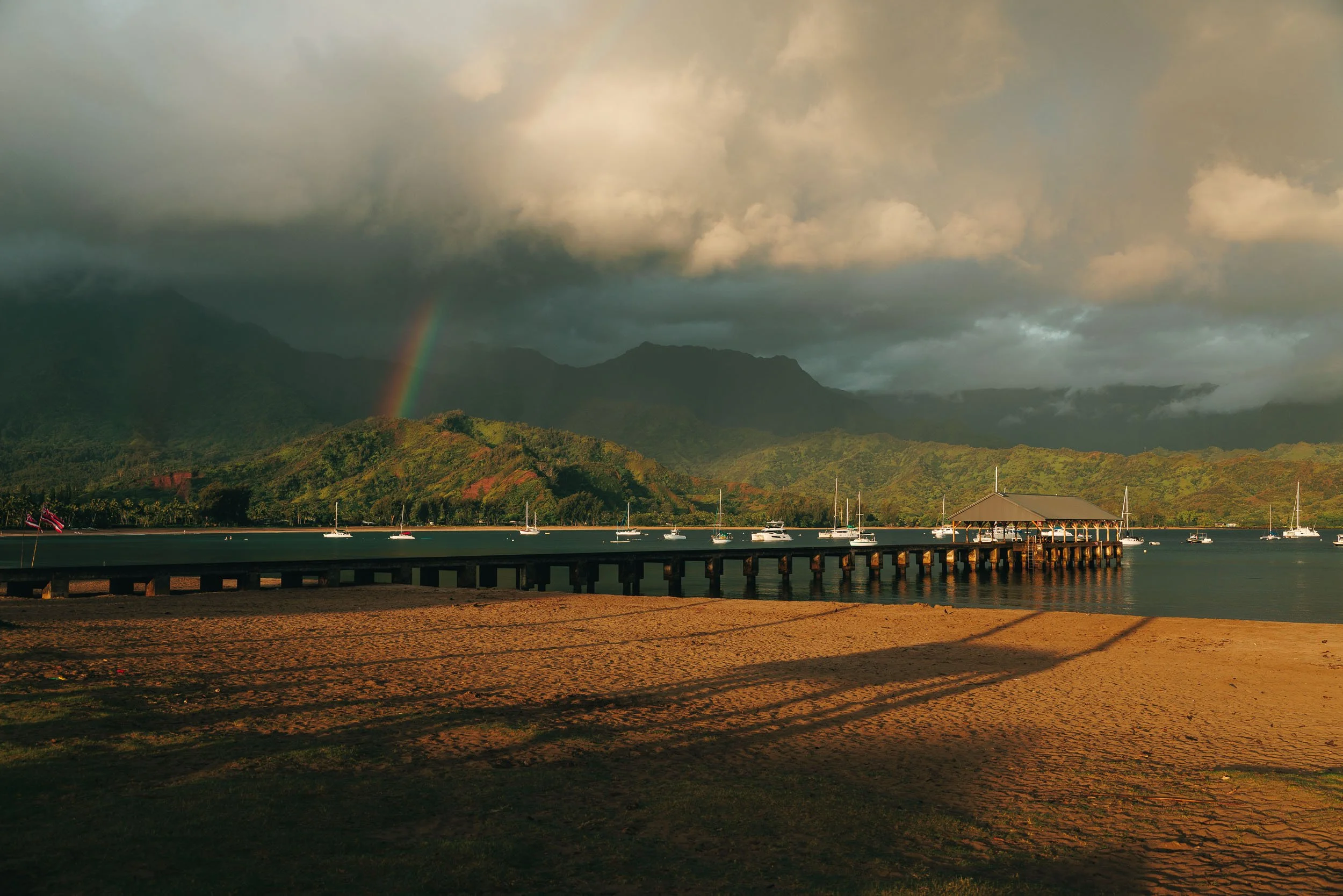 534A2223-Squarespace.jpg