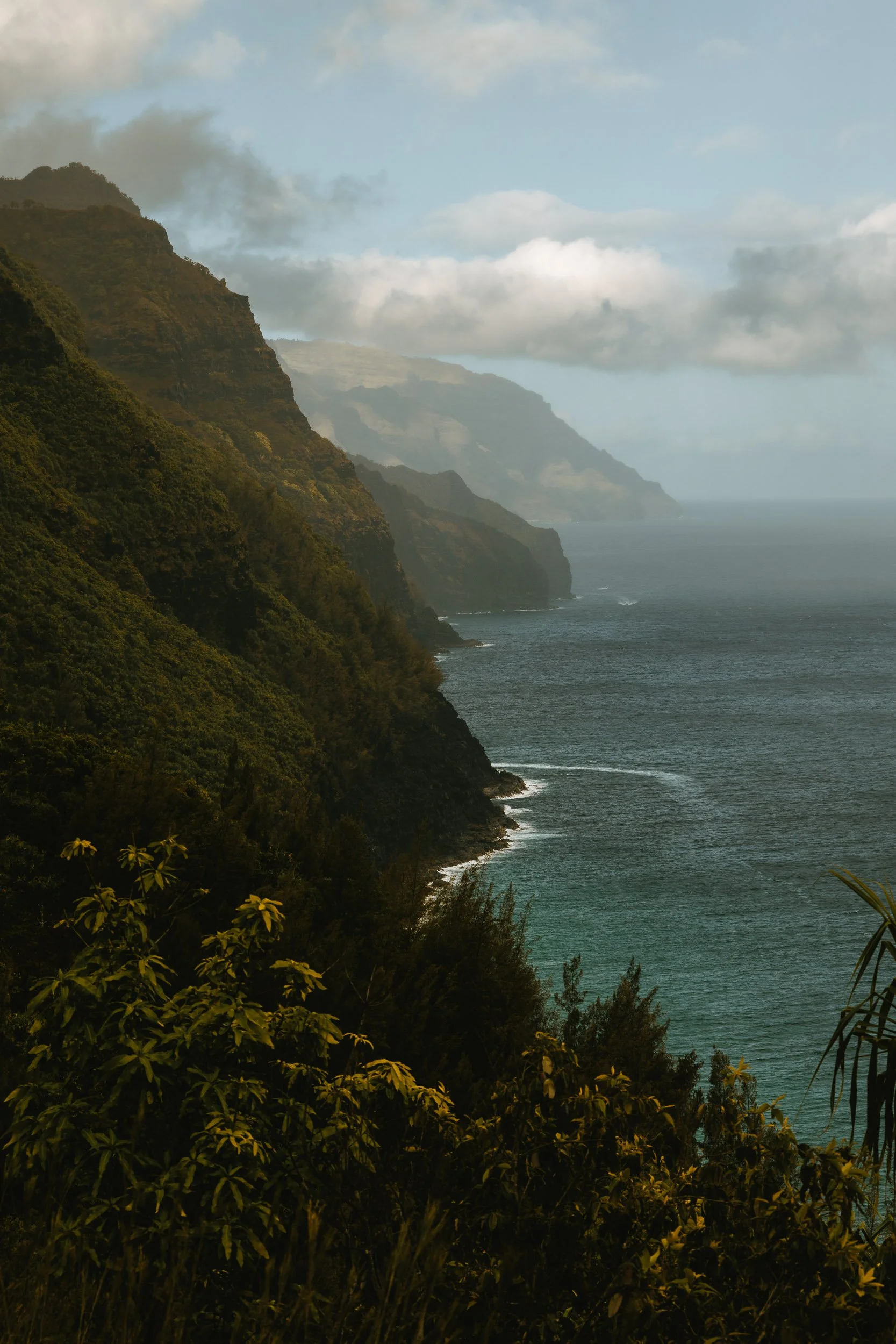 534A2800-Squarespace.jpg