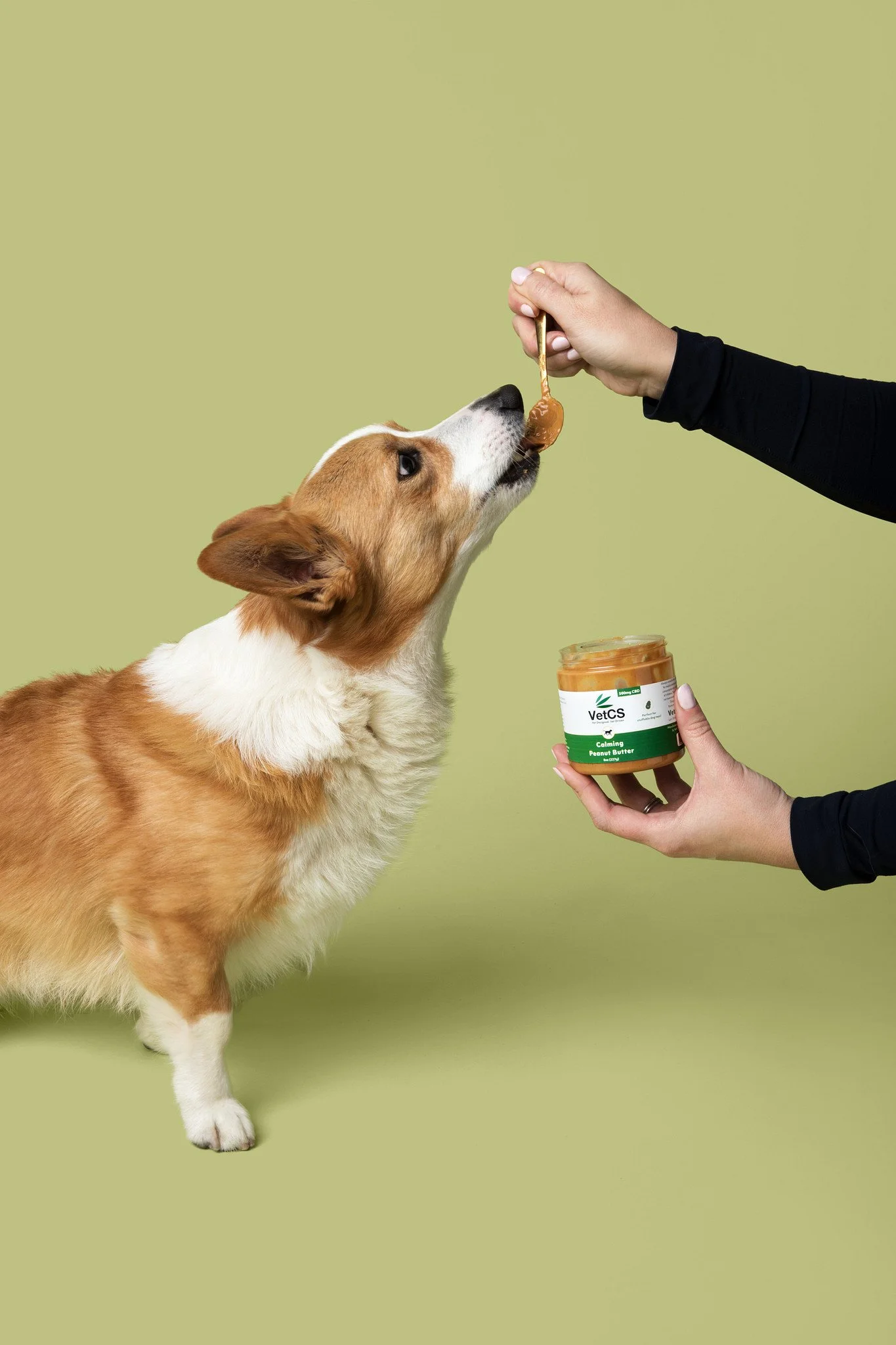 A dog being fed peanut butter from a spoon held by a person, with a jar of peanut butter in the person's hand.