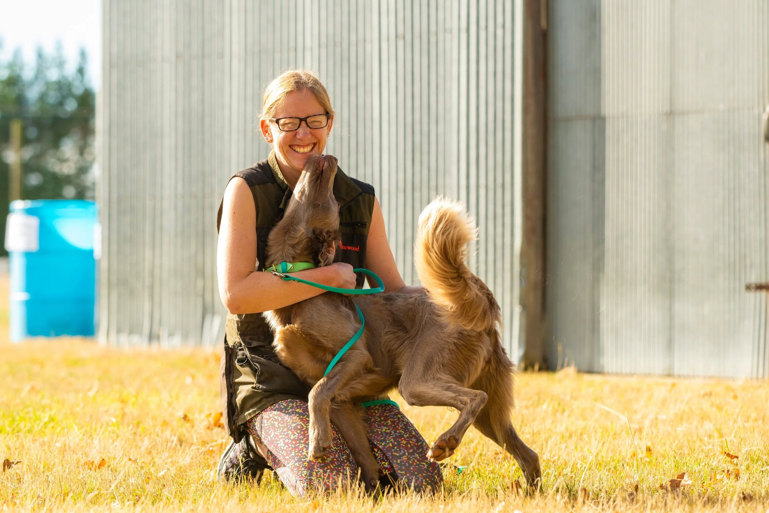 A woman kneeling on grass, hugging a happy and playful brown dog with a leash, near a metal fence on a sunny day.
