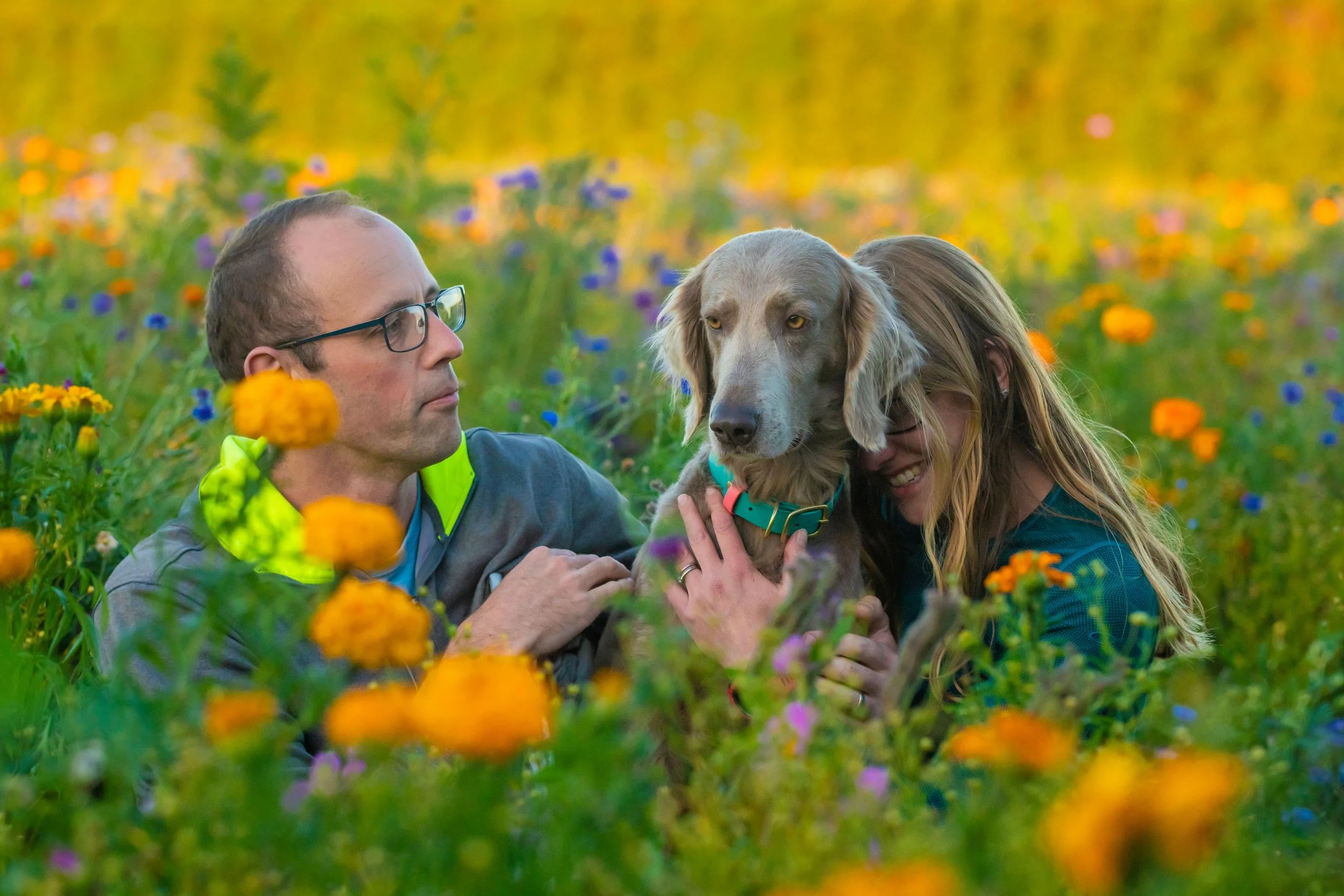 A man, a woman, and a dog in a colorful flower field, with the woman smiling and the man looking at the dog.