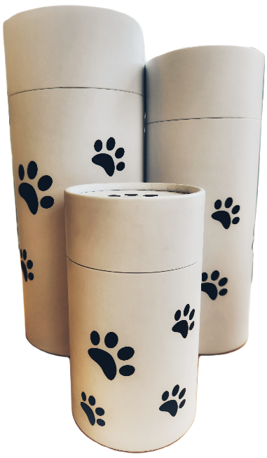 Cardboard urn decorated with black paw prints.