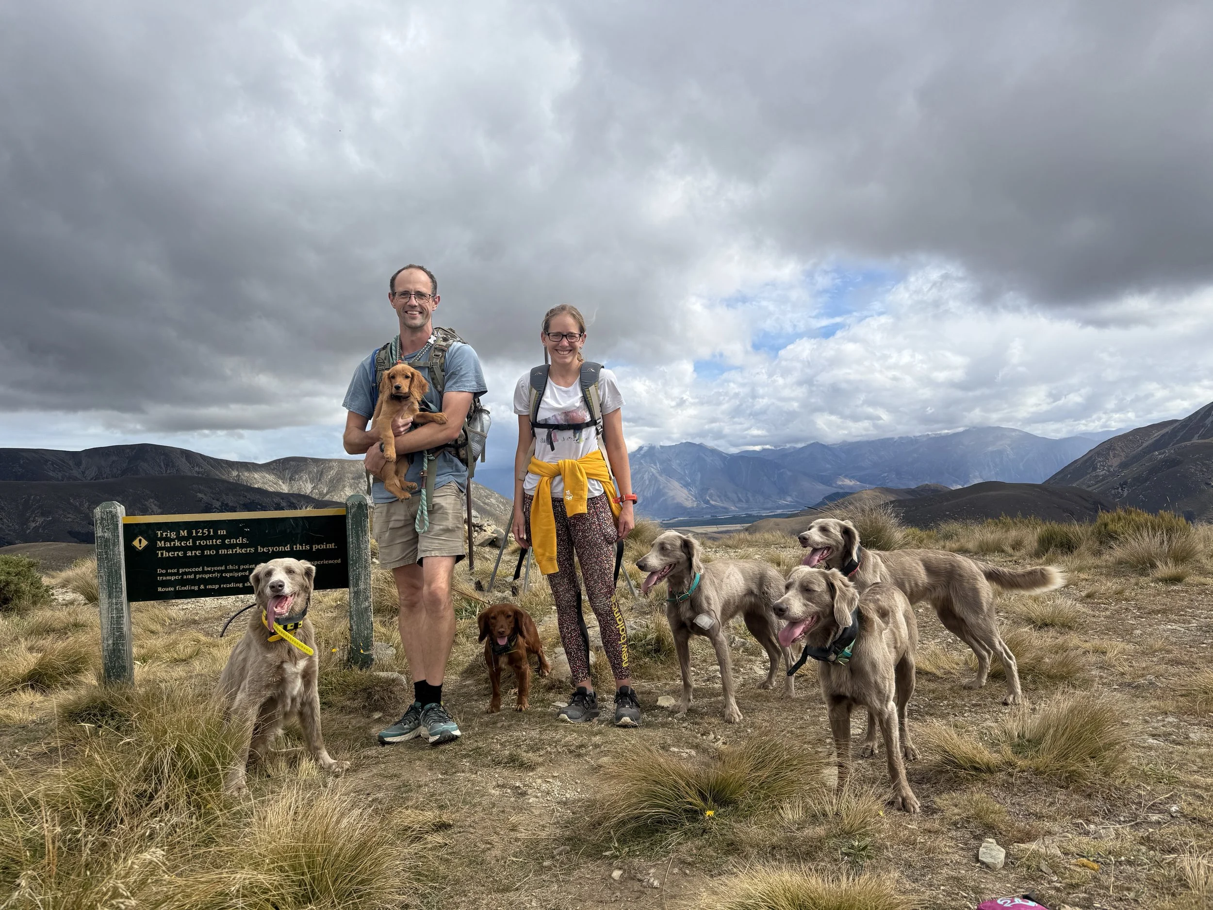 A man and a woman with six dogs of various breeds hiking in a mountainous area under a cloudy sky. The man is holding a small dog, and the woman is standing with her hands by her sides. There is a sign in the foreground and mountain ranges in the background.