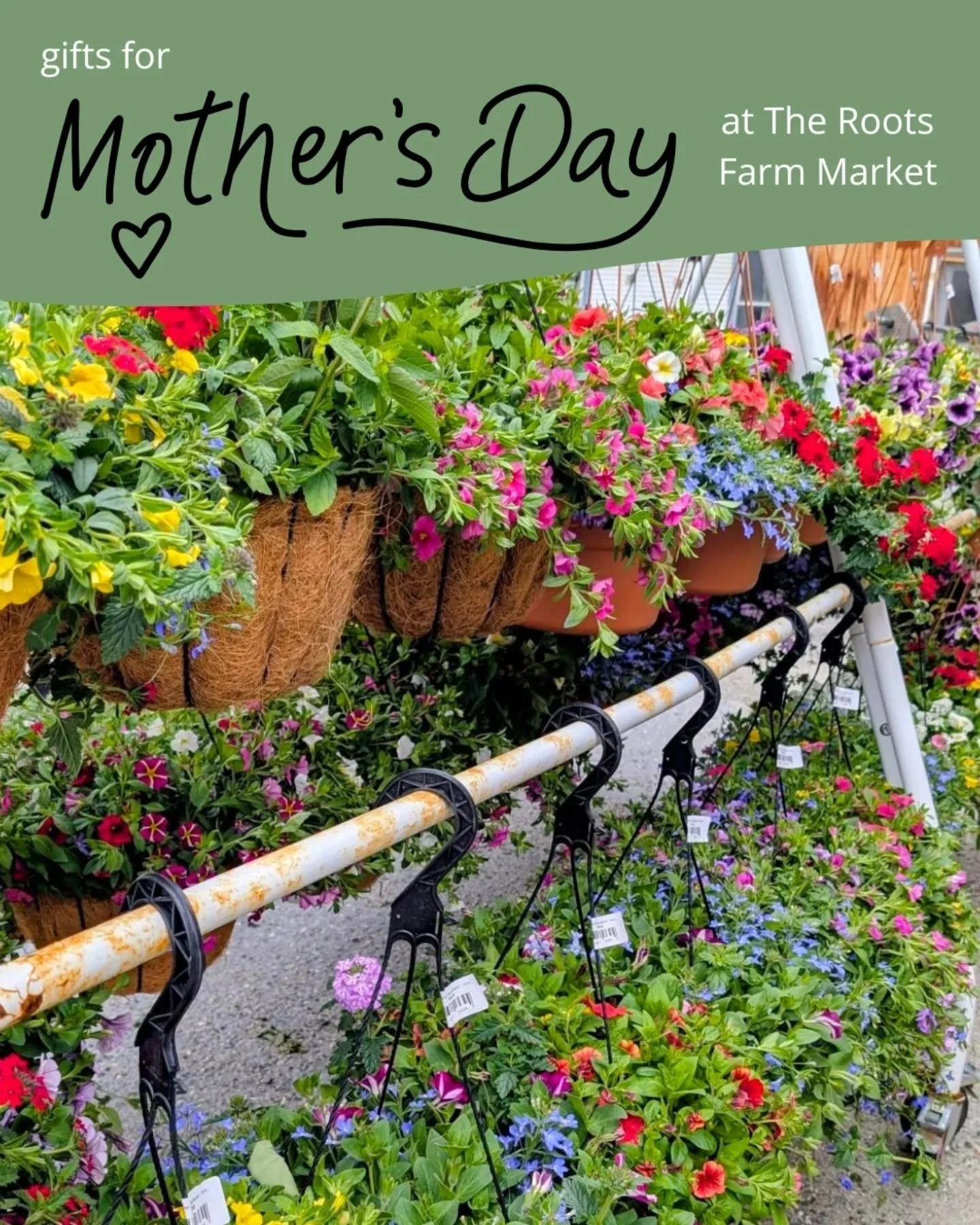 Mother's Day is Sunday! Stop by @therootsfarmmarket in Middlesex for the perfect variety of gifts.

You'll find:
🌸 Hanging baskets
🌱 Starter veggie &amp; herb plants
 🌳 Fruit trees
 📚 Cookbooks
 🕯️ Fun produce shaped candles
 ⚱️ Pottery &amp; ea