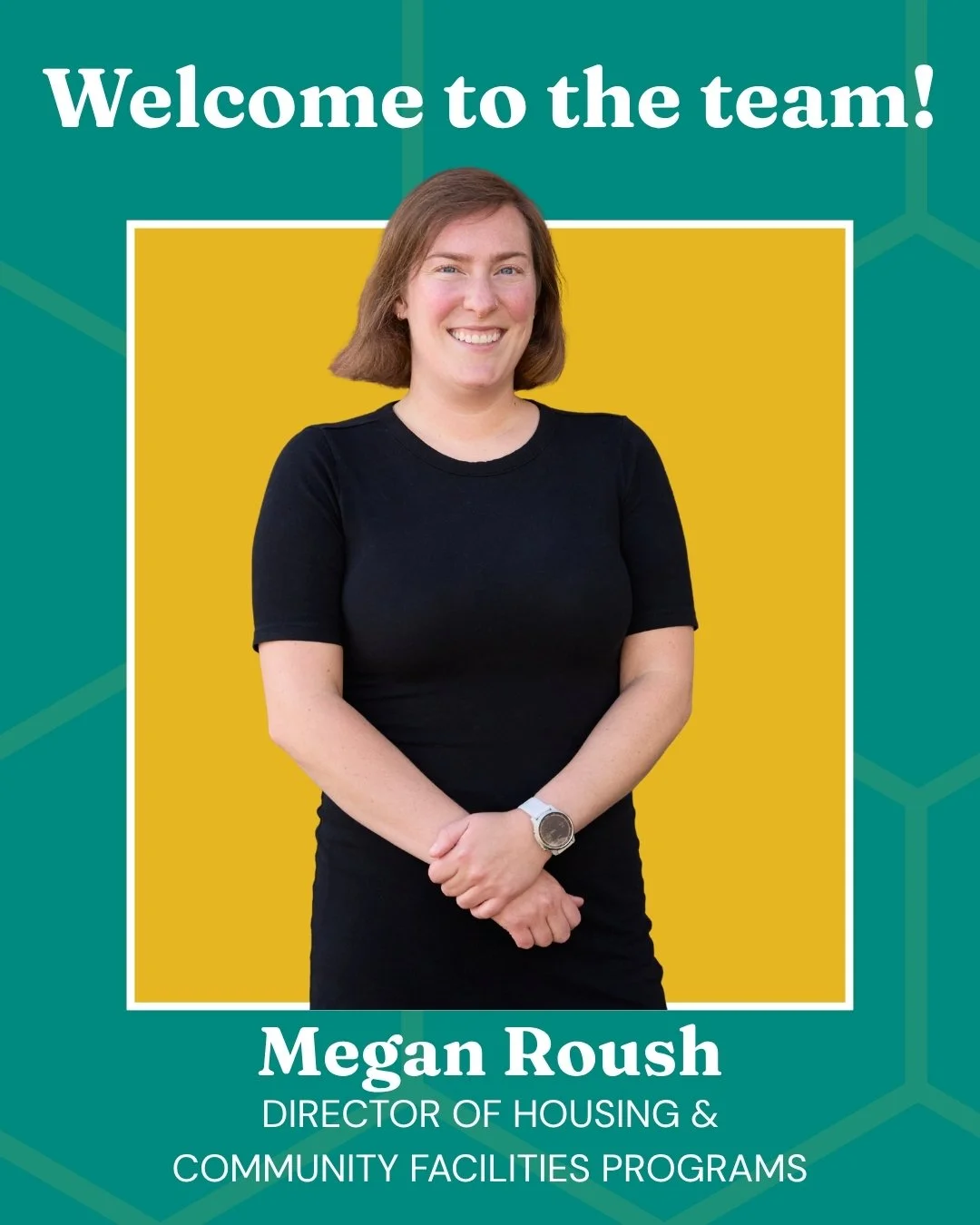 Please join us in welcoming Megan Roush to the VCLF team! ✨

Megan comes to us with deep roots in Vermont's affordable housing world. She spent time as Director of Housing Development at the Vermont Housing Finance Agency, where she led the developme