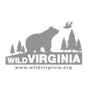 Wild Virginia 300.jpg