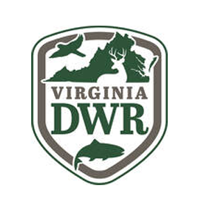 DWR.png