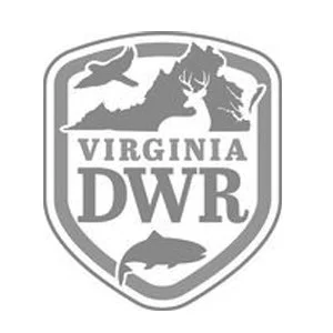 Virginia DWR 300.jpg