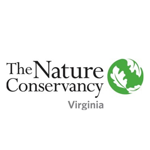 The Nature Conservancy.png