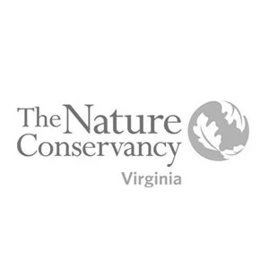 The Nature Conservancy 300.jpg