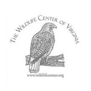 Wildlife Center of Virginia.jpg