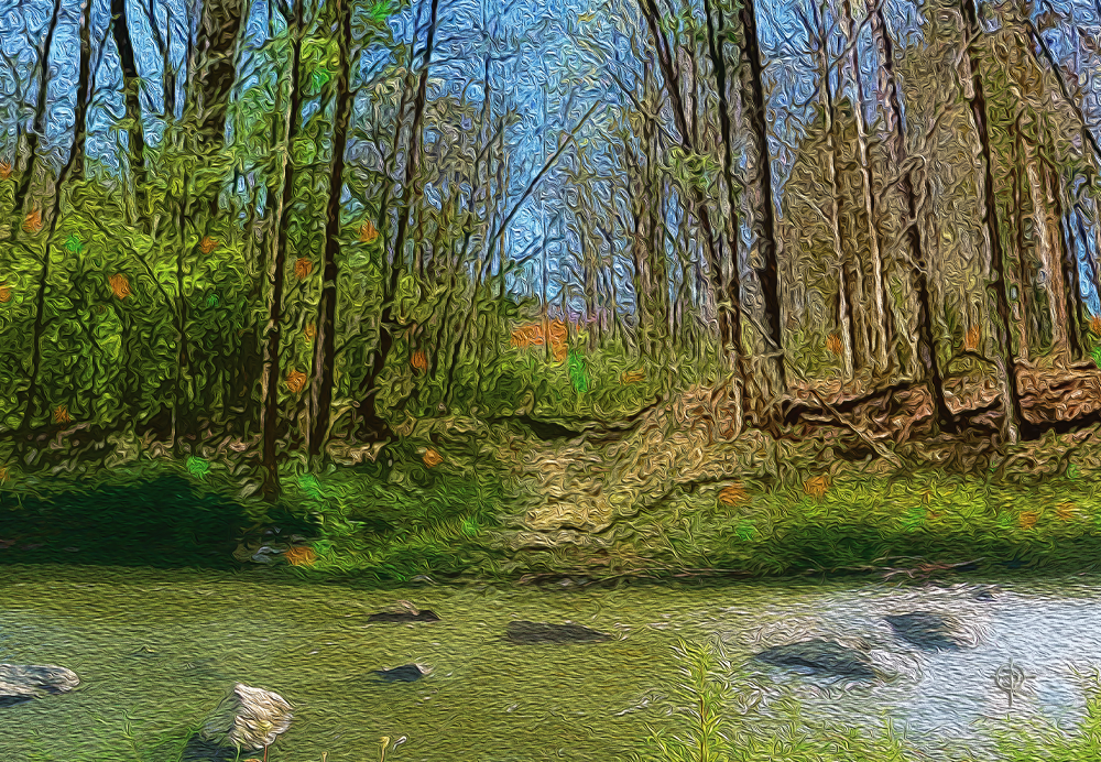 This acrylic painting is called Mill Creek Stream #2. It was commissioned by a co-worker who was looking to perk up a room in her house.