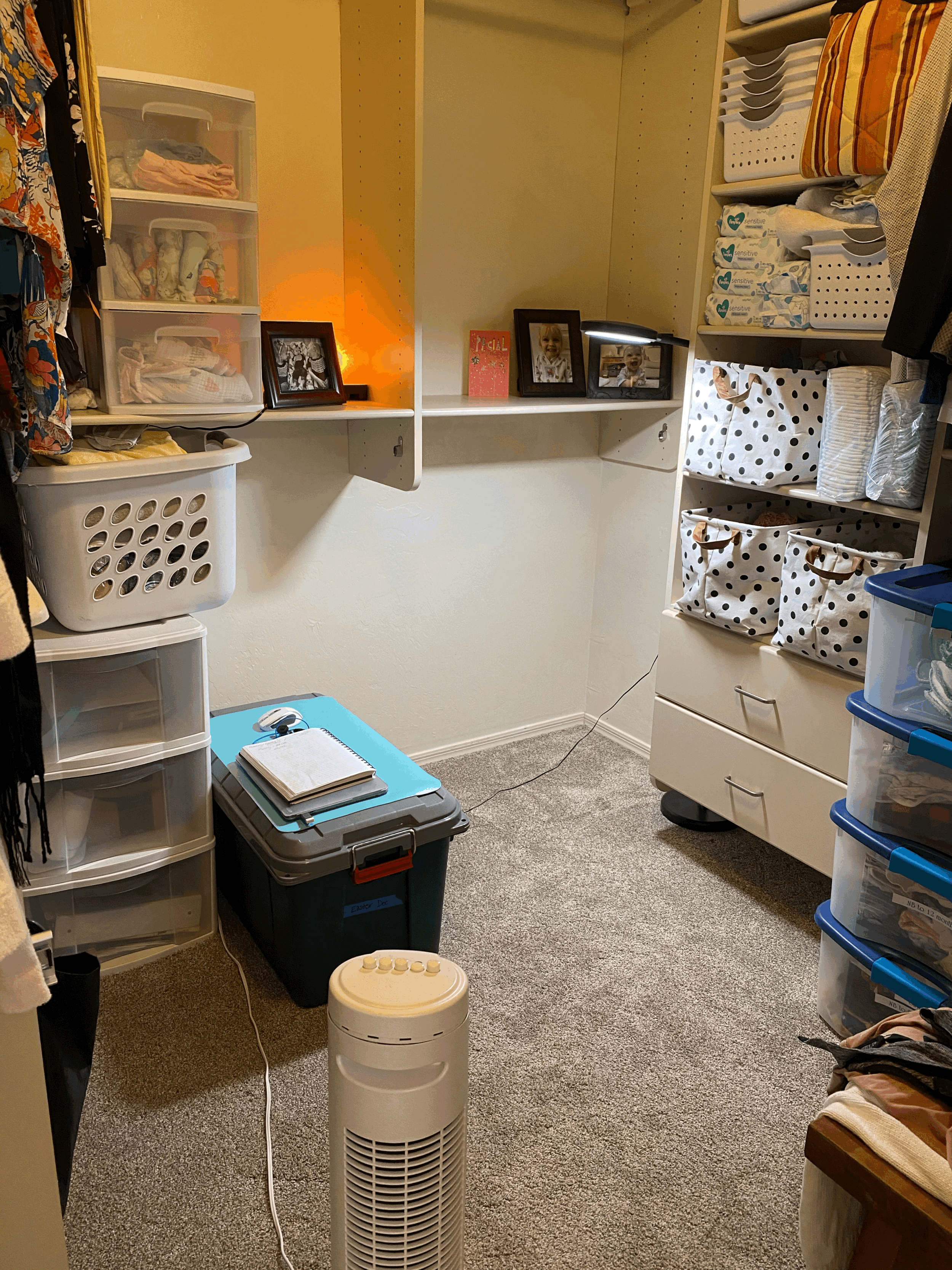 The Tyne Group: Our Origin Story