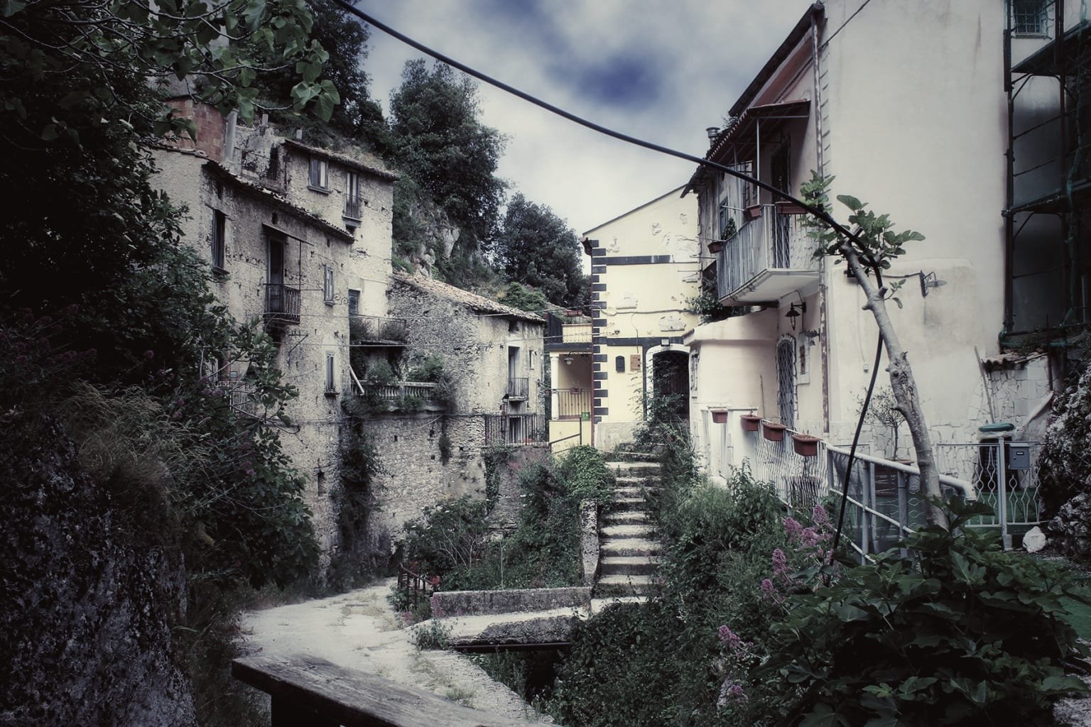 WhatsApp Image 2025-11-17 at 12.36.44.jpeg