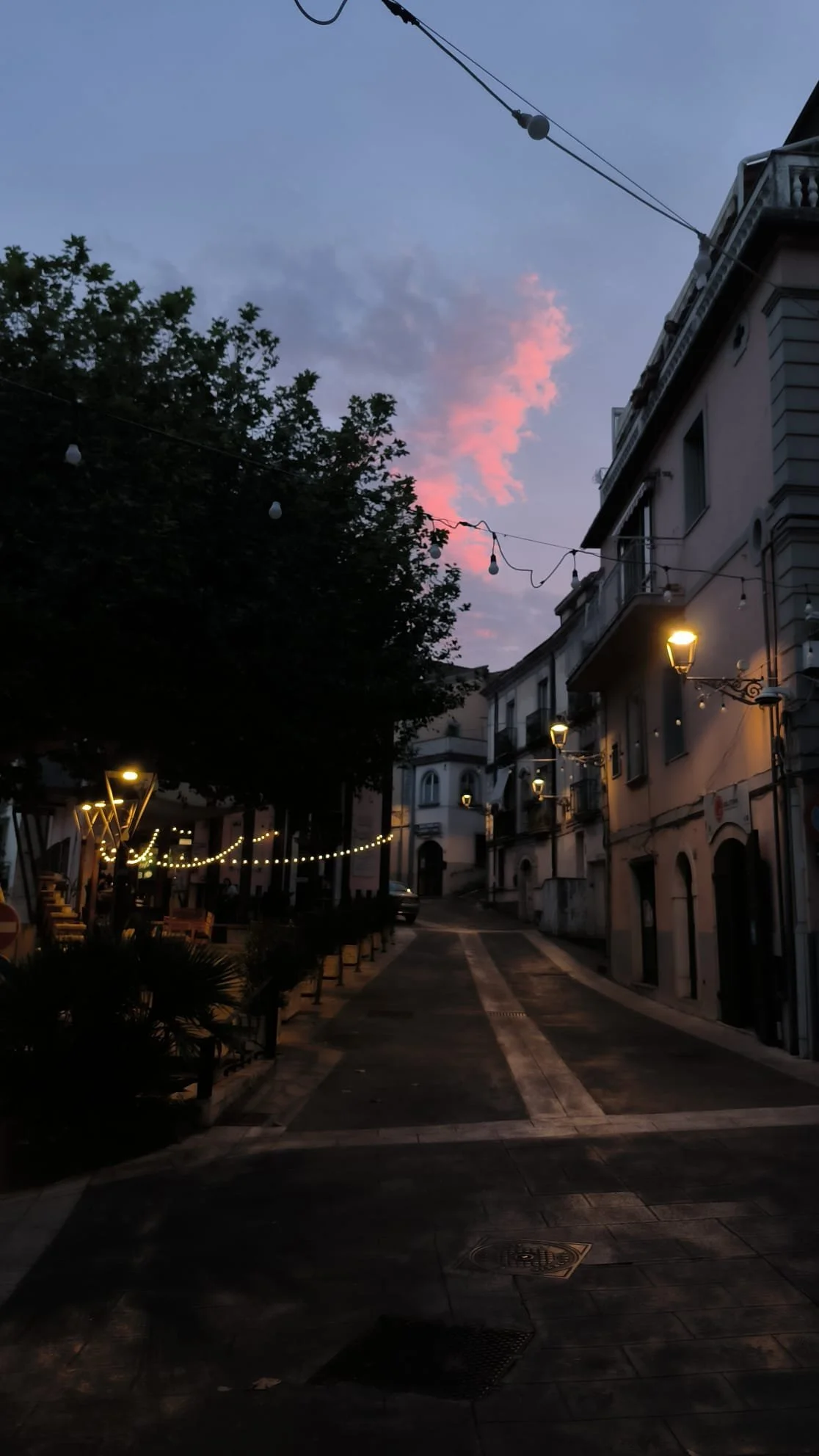 Oliveto 7.jpg