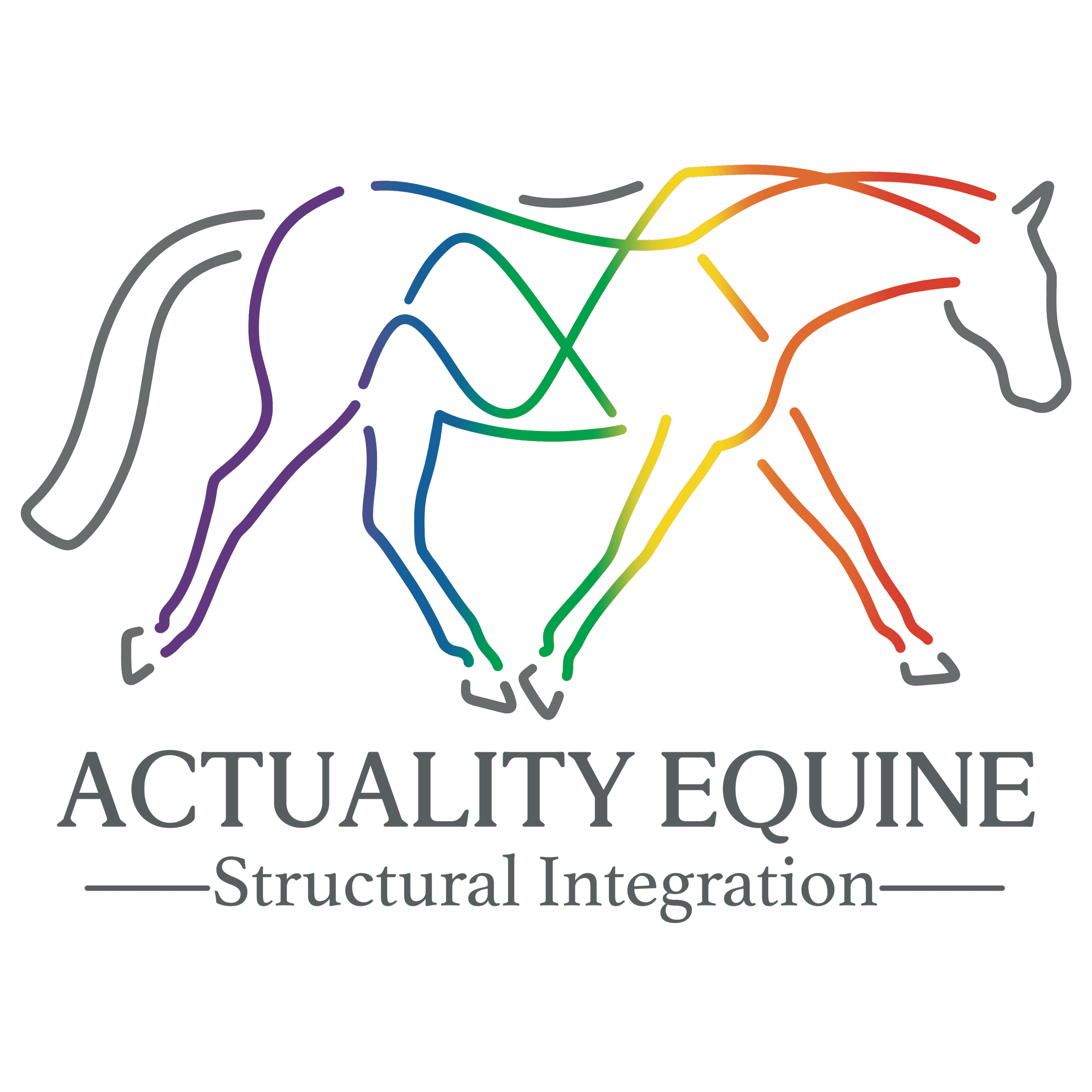 Actuality Equine