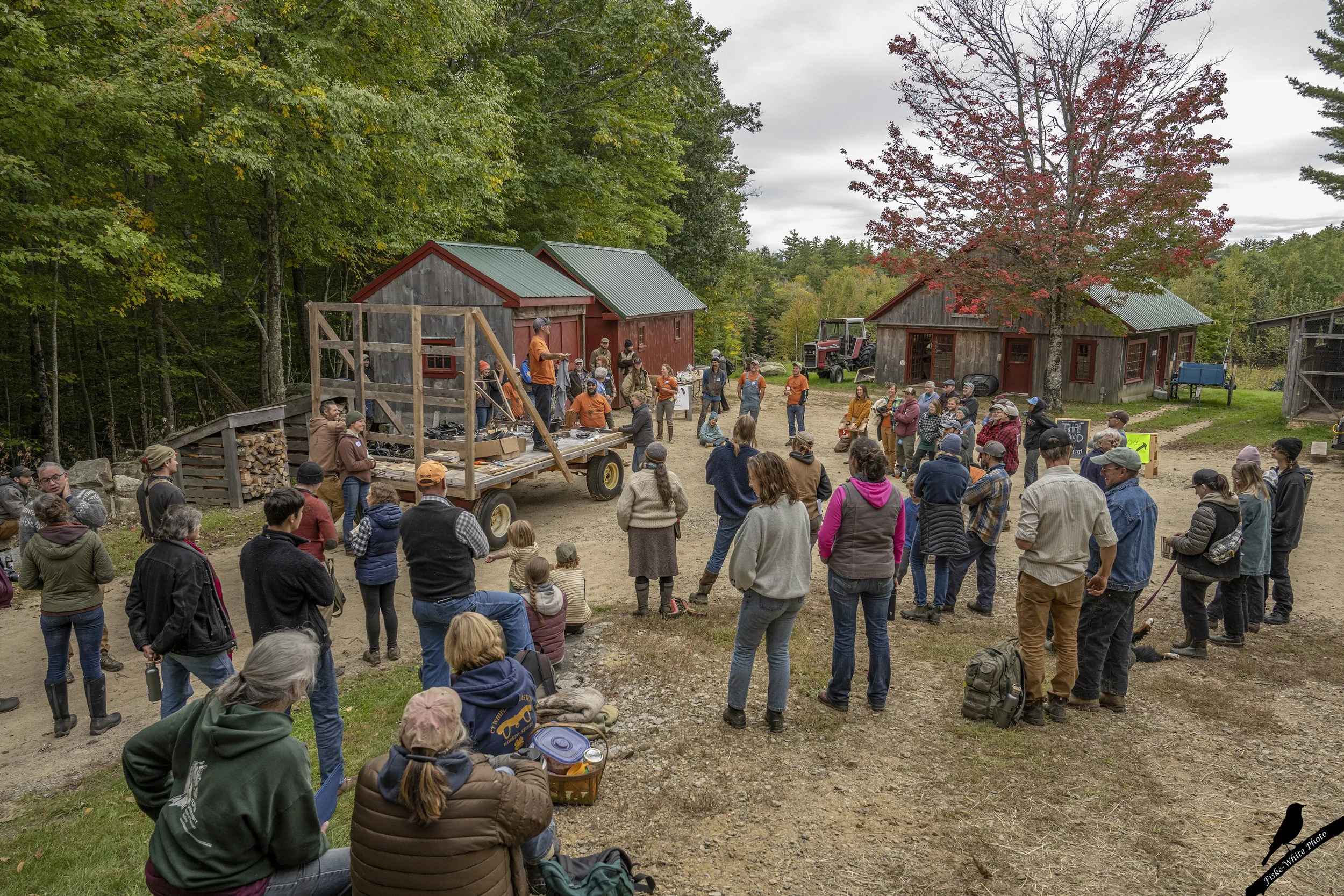 Copy of FieldDays2022-36.jpg