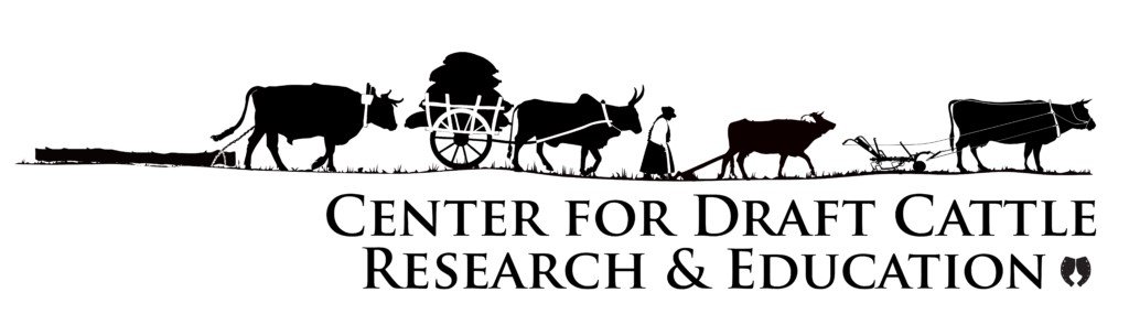 Center for Draft Cattle Research