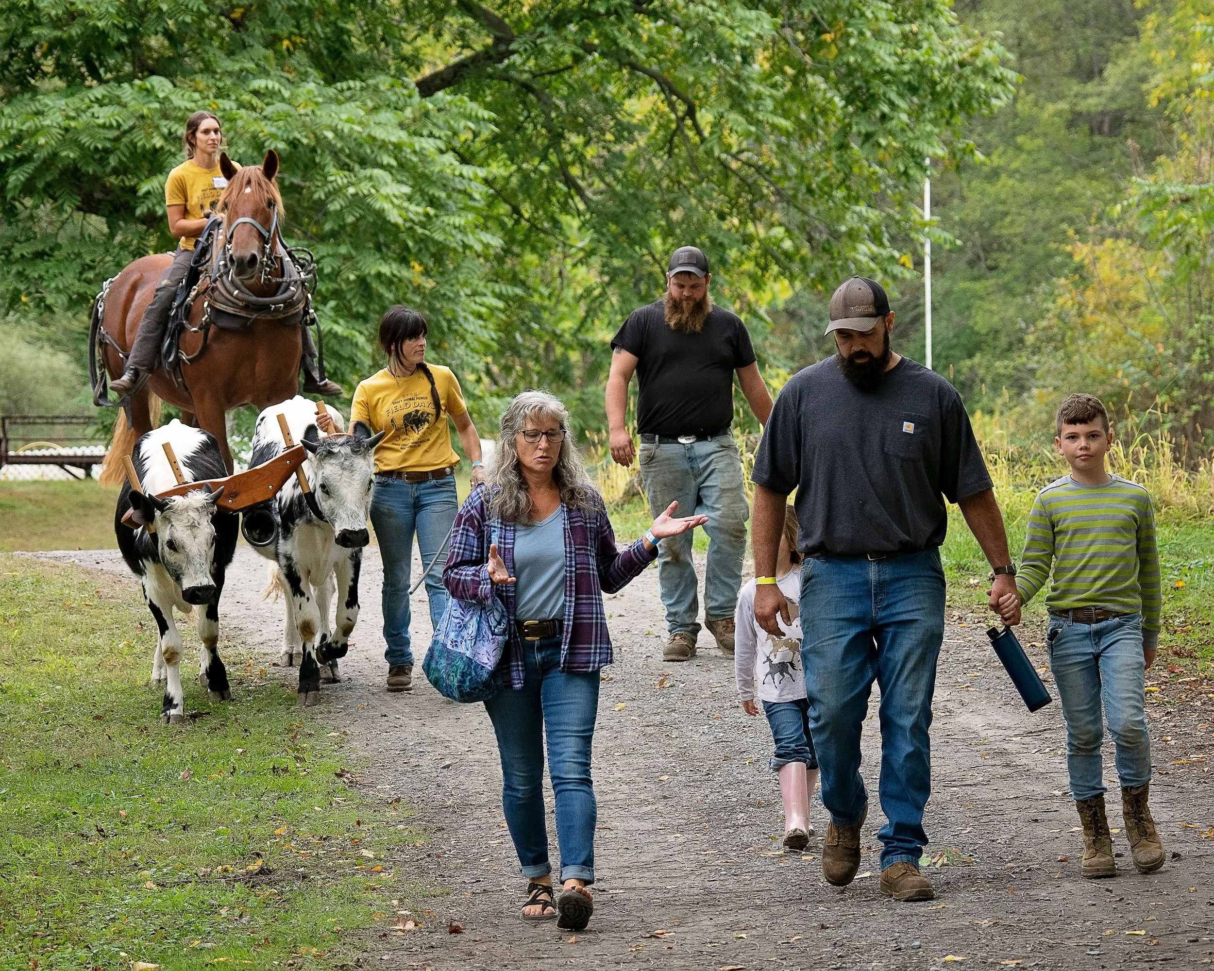 Father, son, draft horse, oxen team and friends together at Draft Animal Power Field Days 2024. Carole Wiley photo.