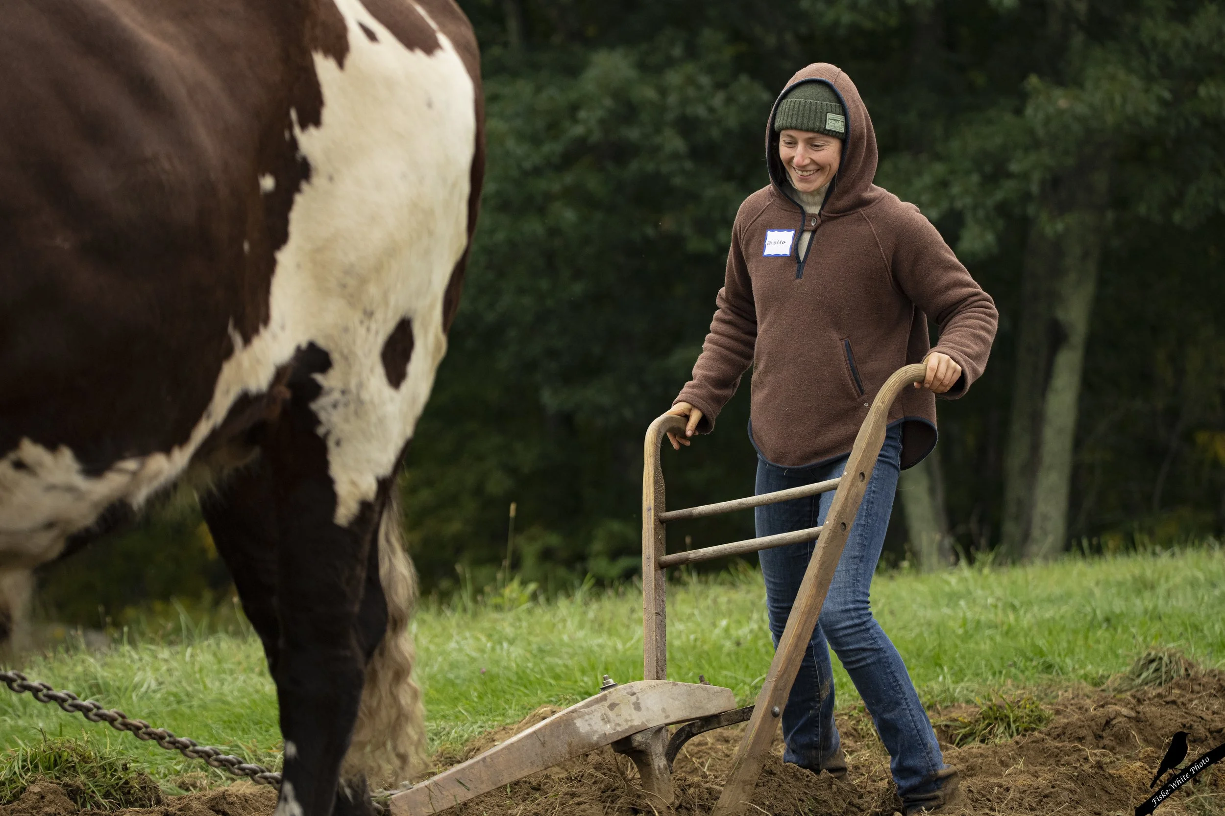 Copy of FieldDays2022-27.jpg