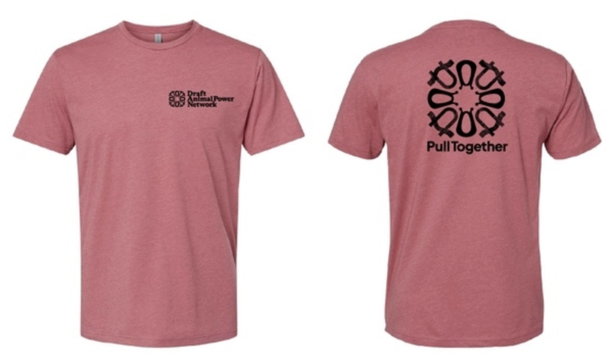 Mandala Logo - Mauve