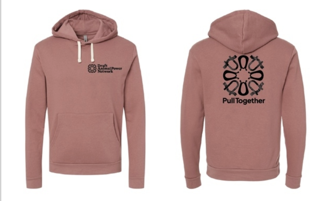 DAPNet Logo Hooded Sweatshirt - Mauve