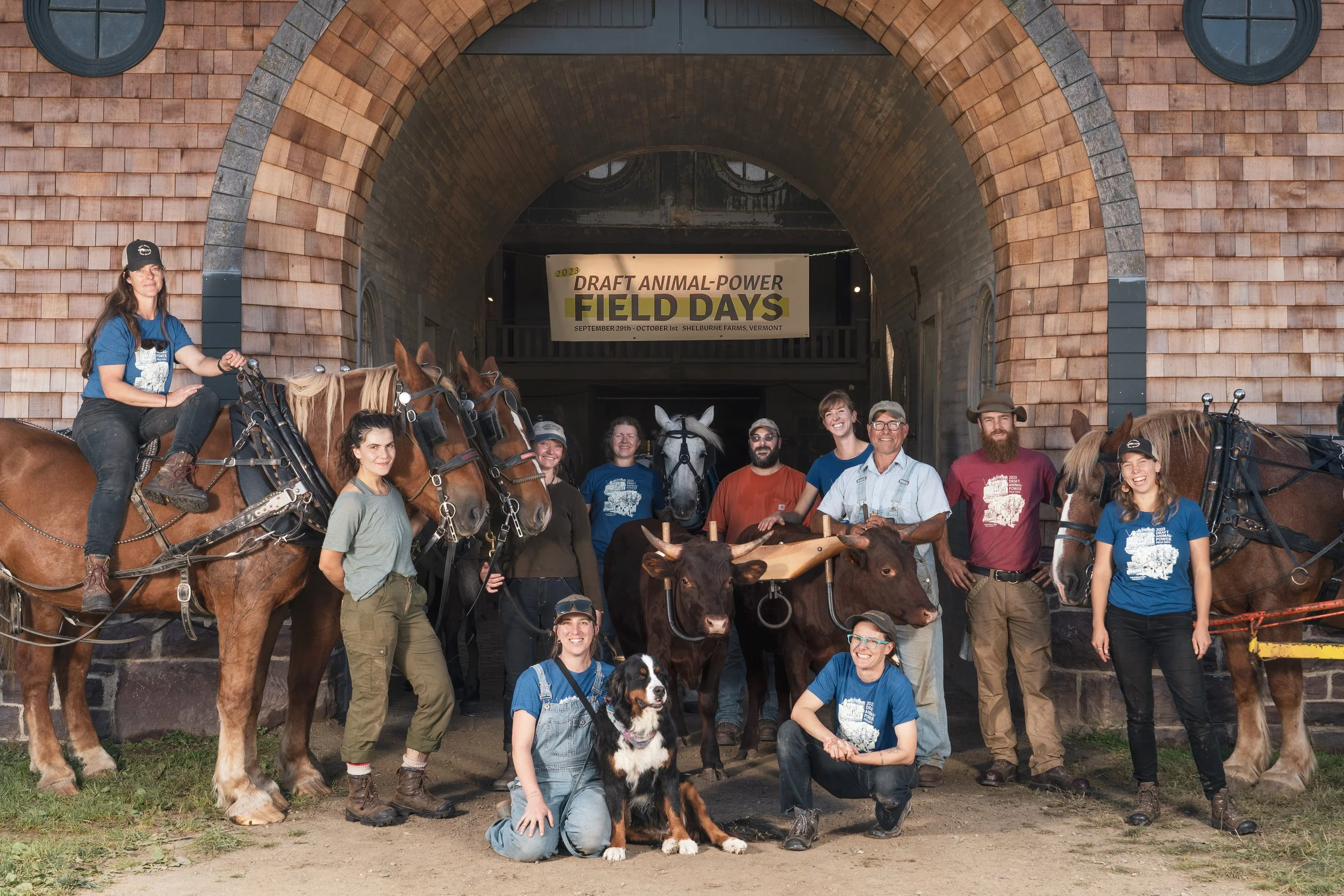 Board of directors at Draft Animal Power Field Days 2023.