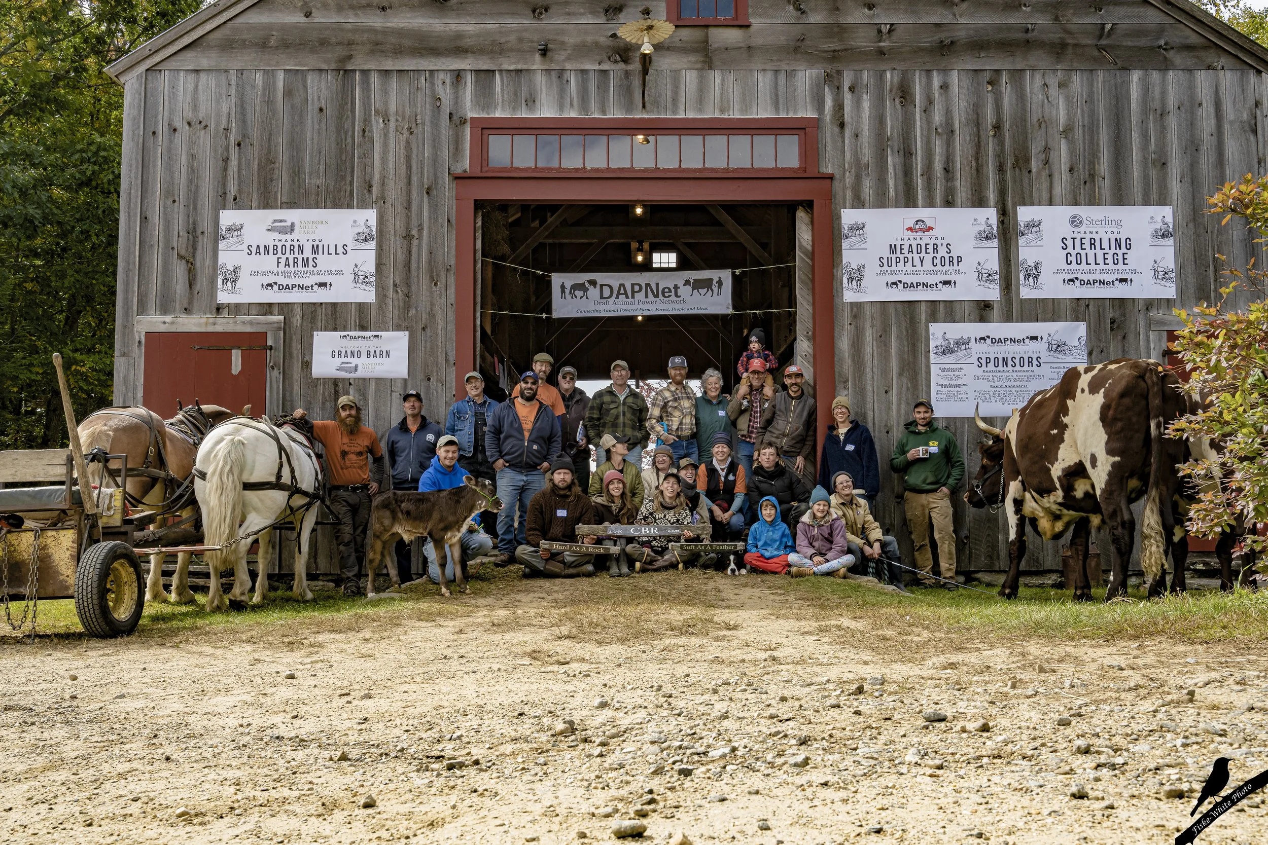 FieldDays2022-3.jpg