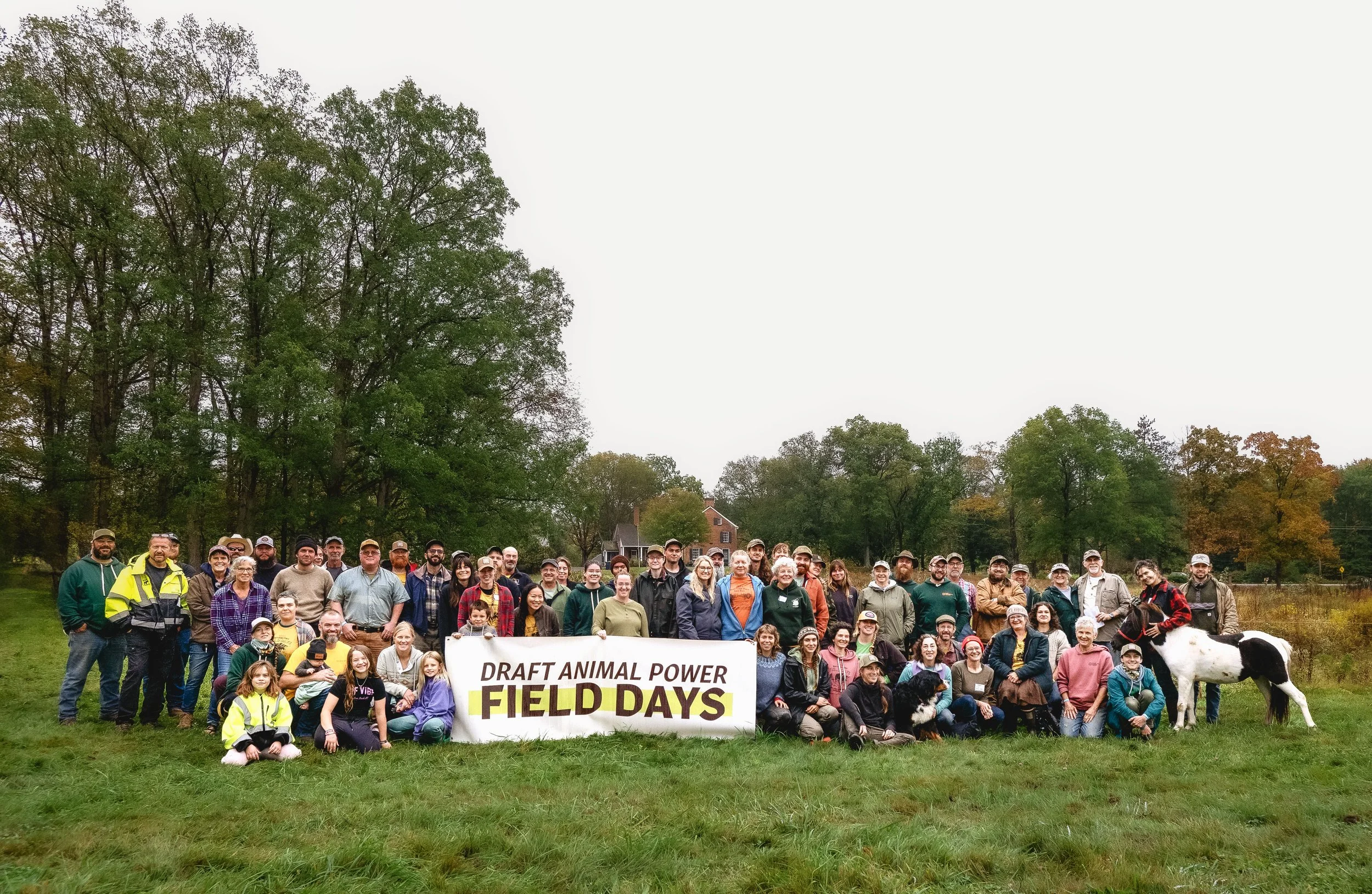 Community members at Draft Animal Power Field Days 2024. Carole Wiley photo.