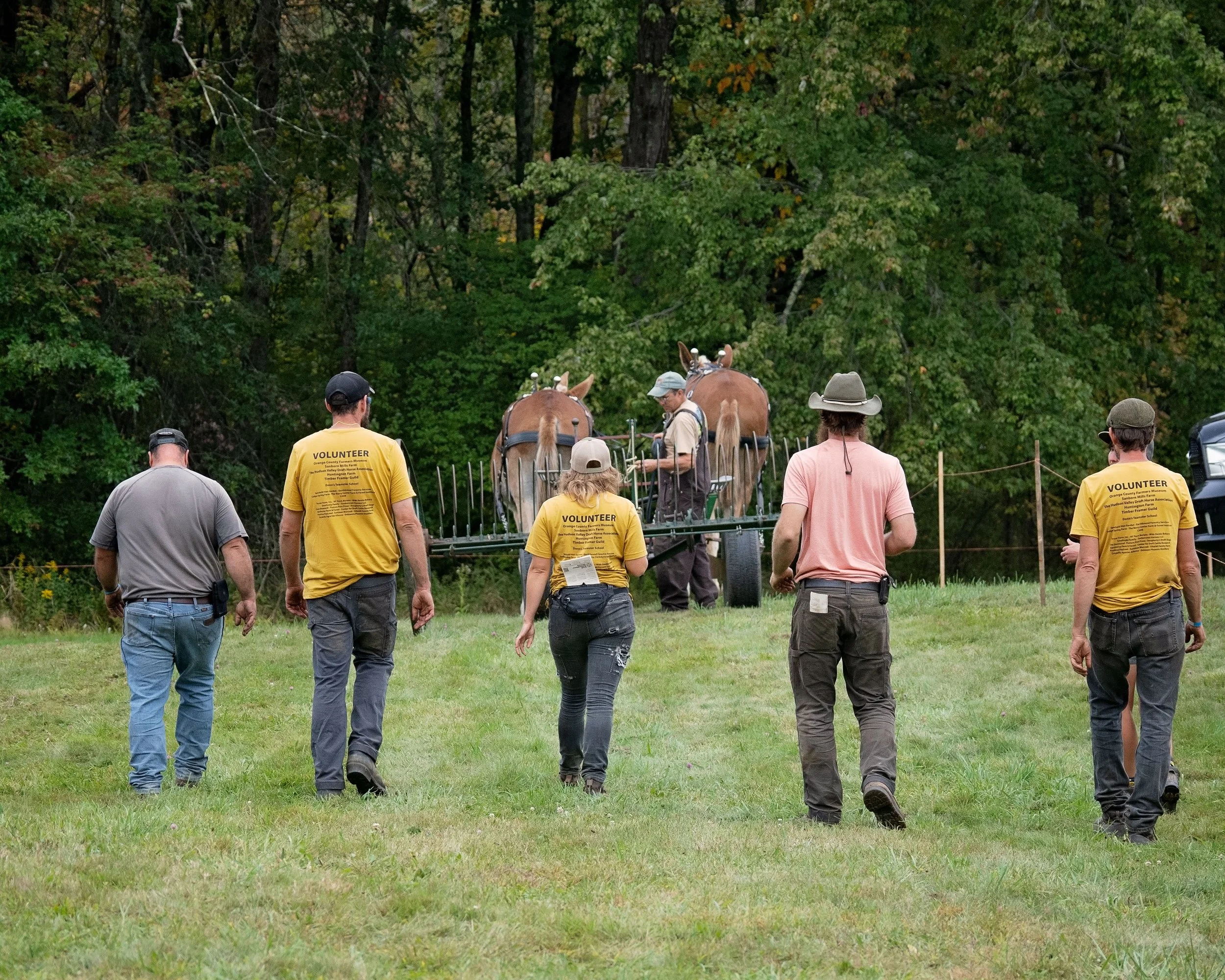 Plow workshop at Draft Animal Power Field Days 2024. Carole Wiley photo.