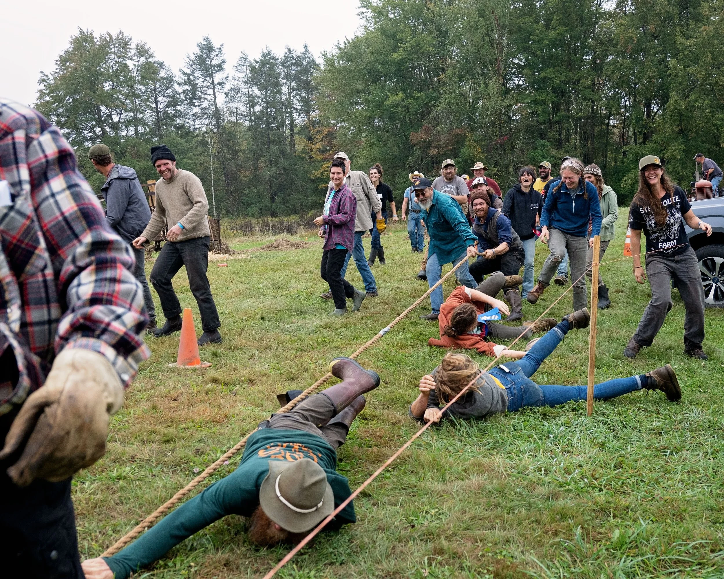Tug of War at Draft Animal Power Field Days 2024. Carole Wiley photo.