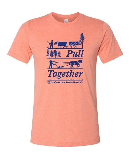 Pull Together - Sunset