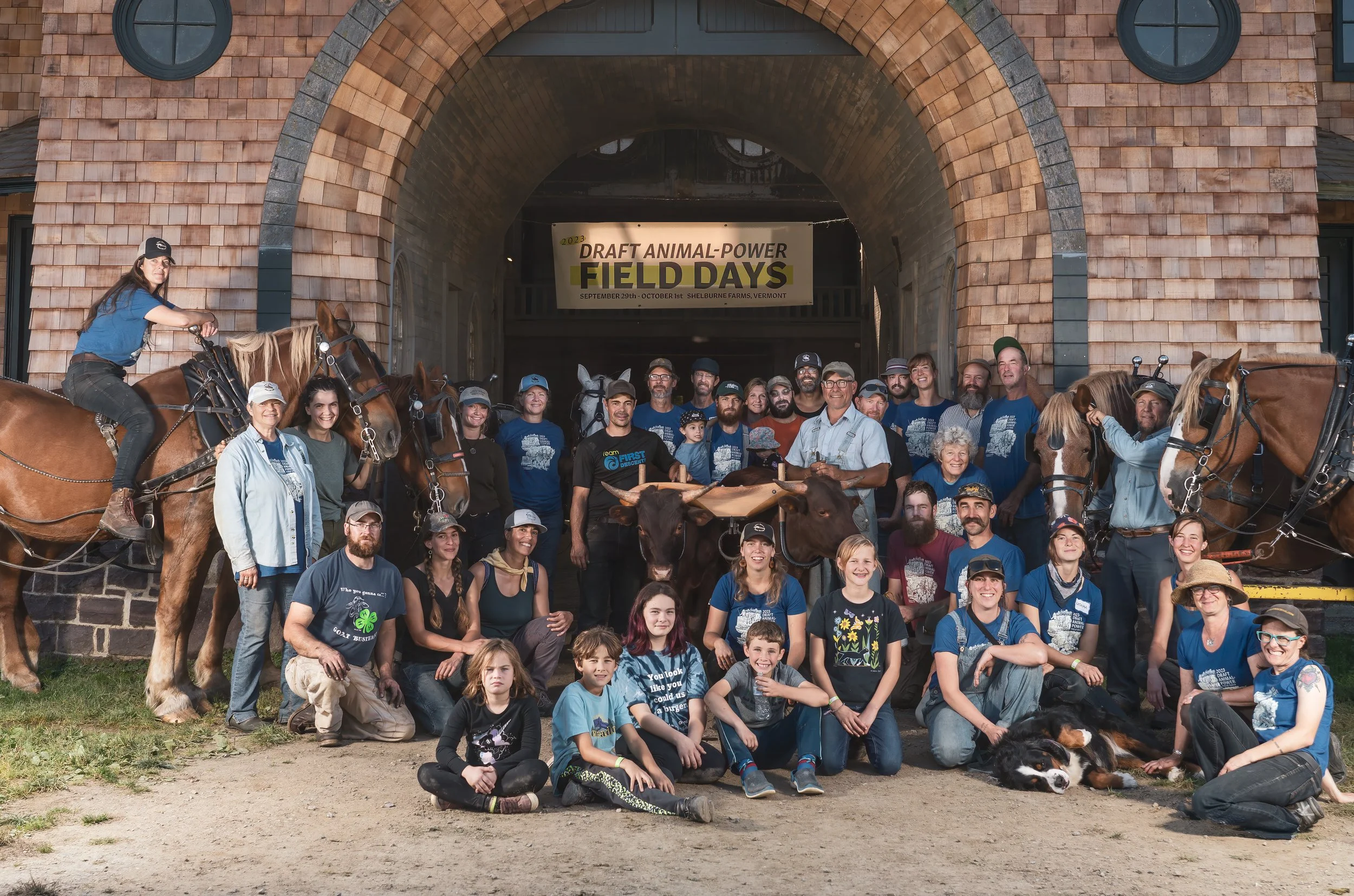 Volunteers and members at Draft Animal Power Field Days 2023.