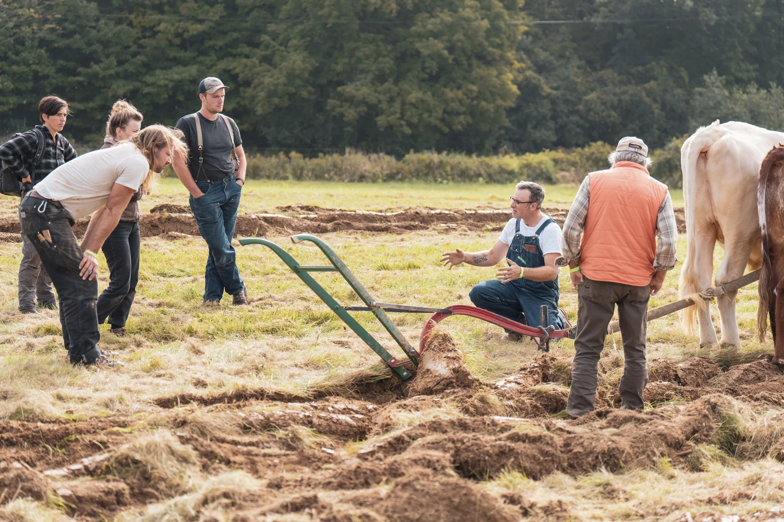 Plowing with a draft horse team workshop at Draft Animal Power Field Days 2023.