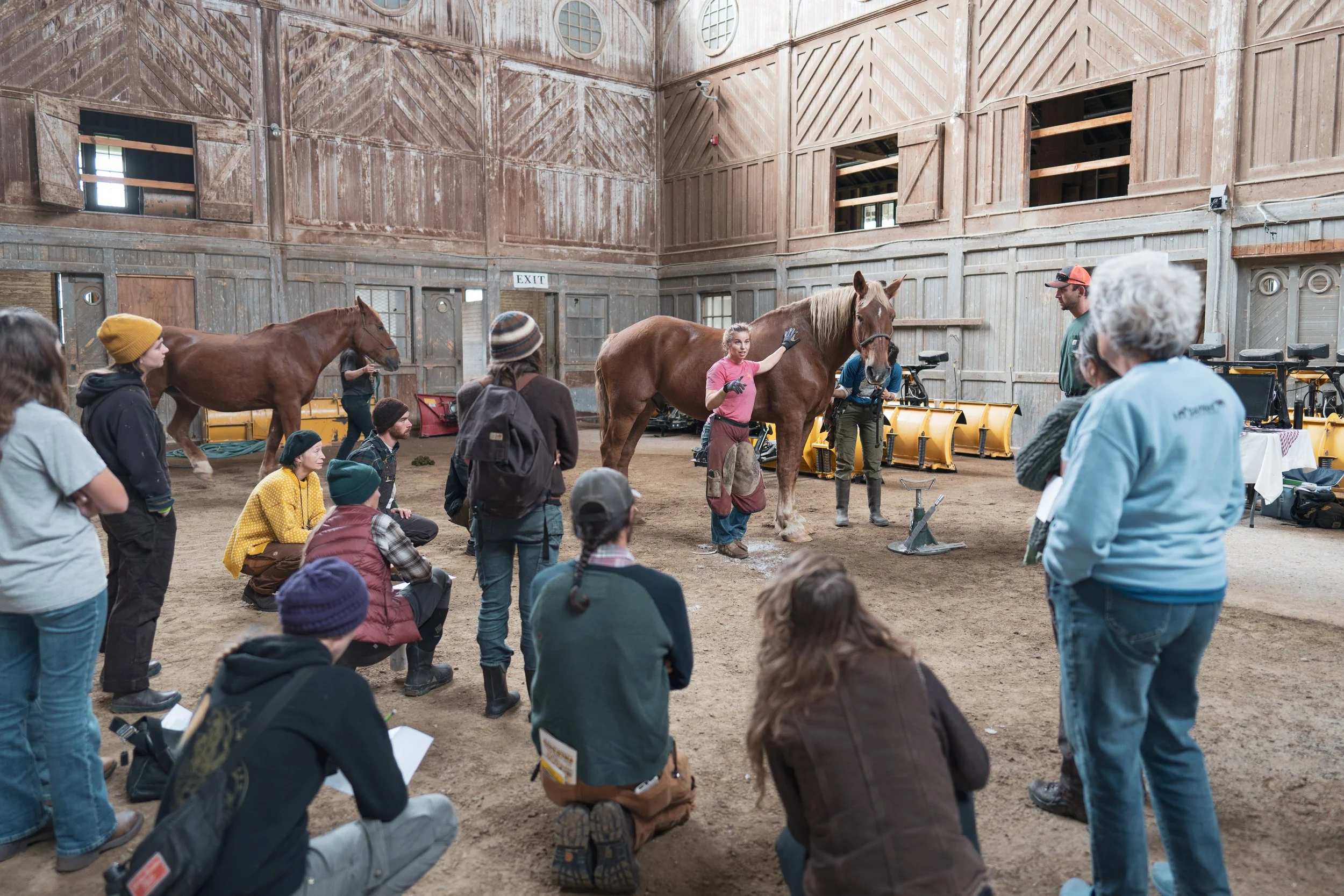 Draft horse workshop in Shelburne Farms Breeding Barn at Draft Animal Power Field Days 2023.