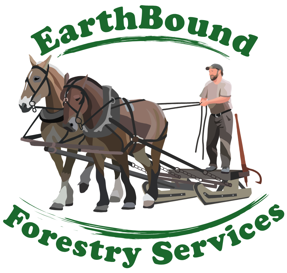 EarthBound Forestry Services