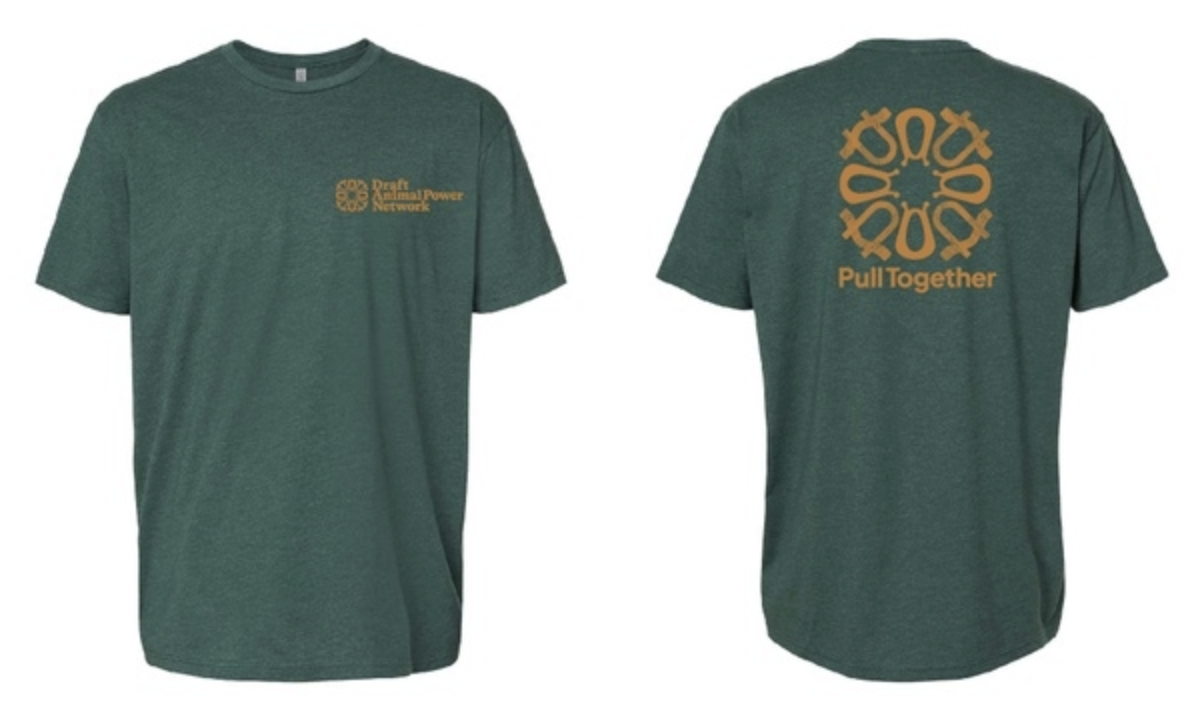 Mandala Logo - Green