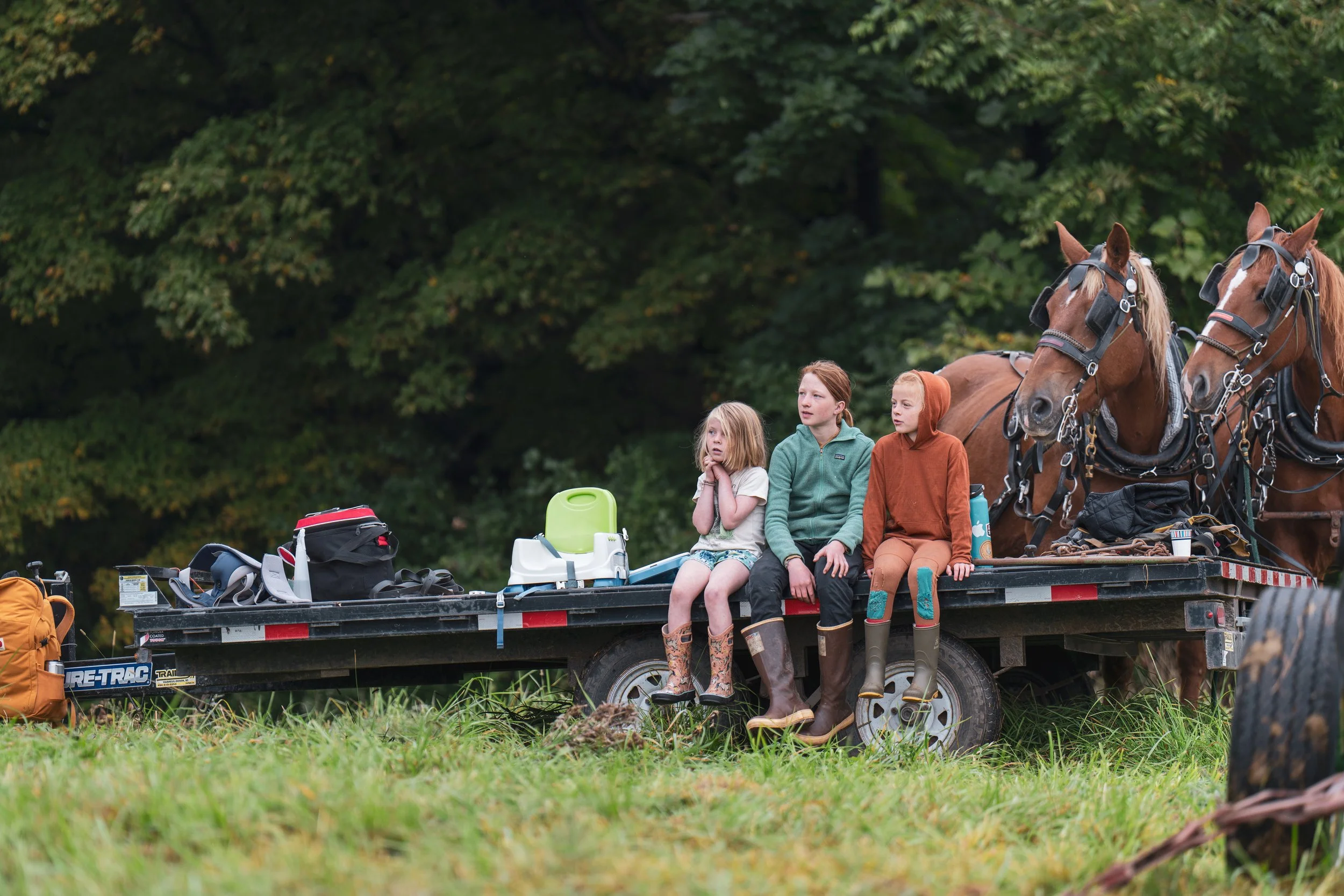 Kids with draft horse team watching a workshop at Draft Animal Power Field Days 2023.