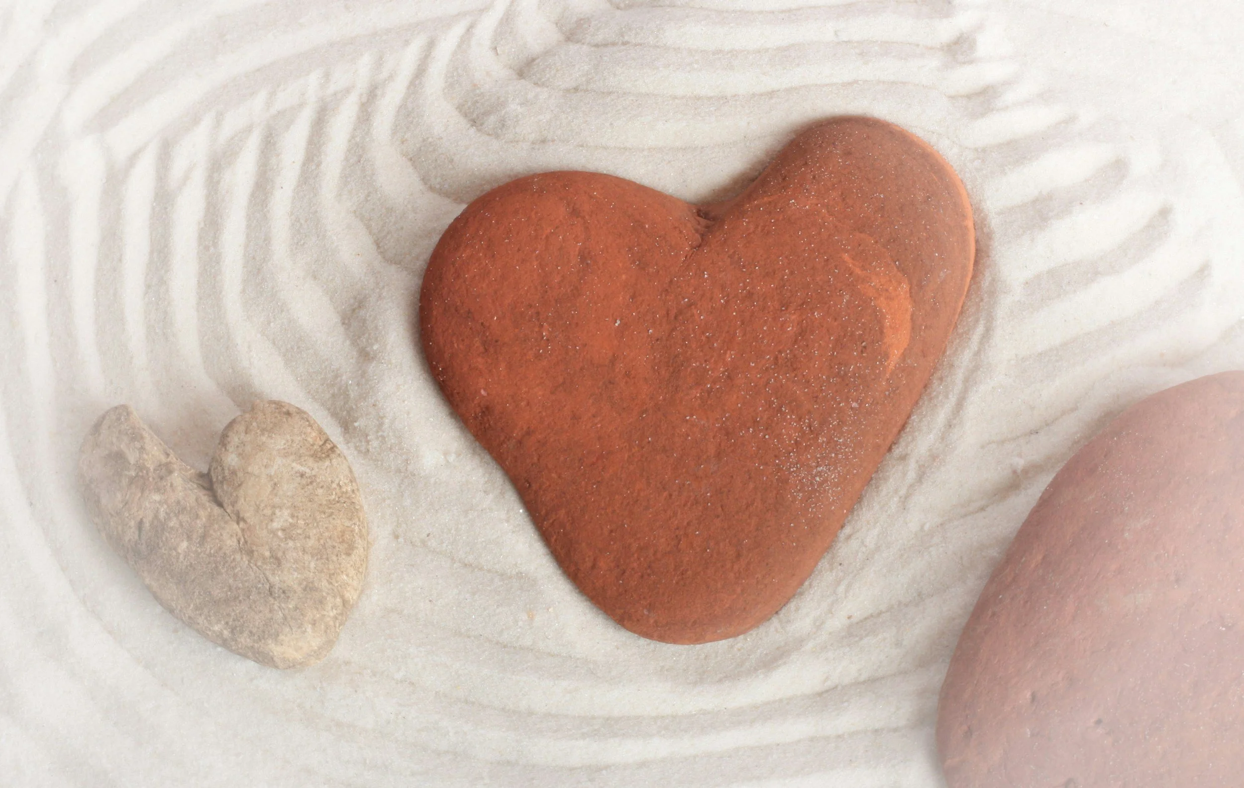 Maker’s Monday- Zen Gardens