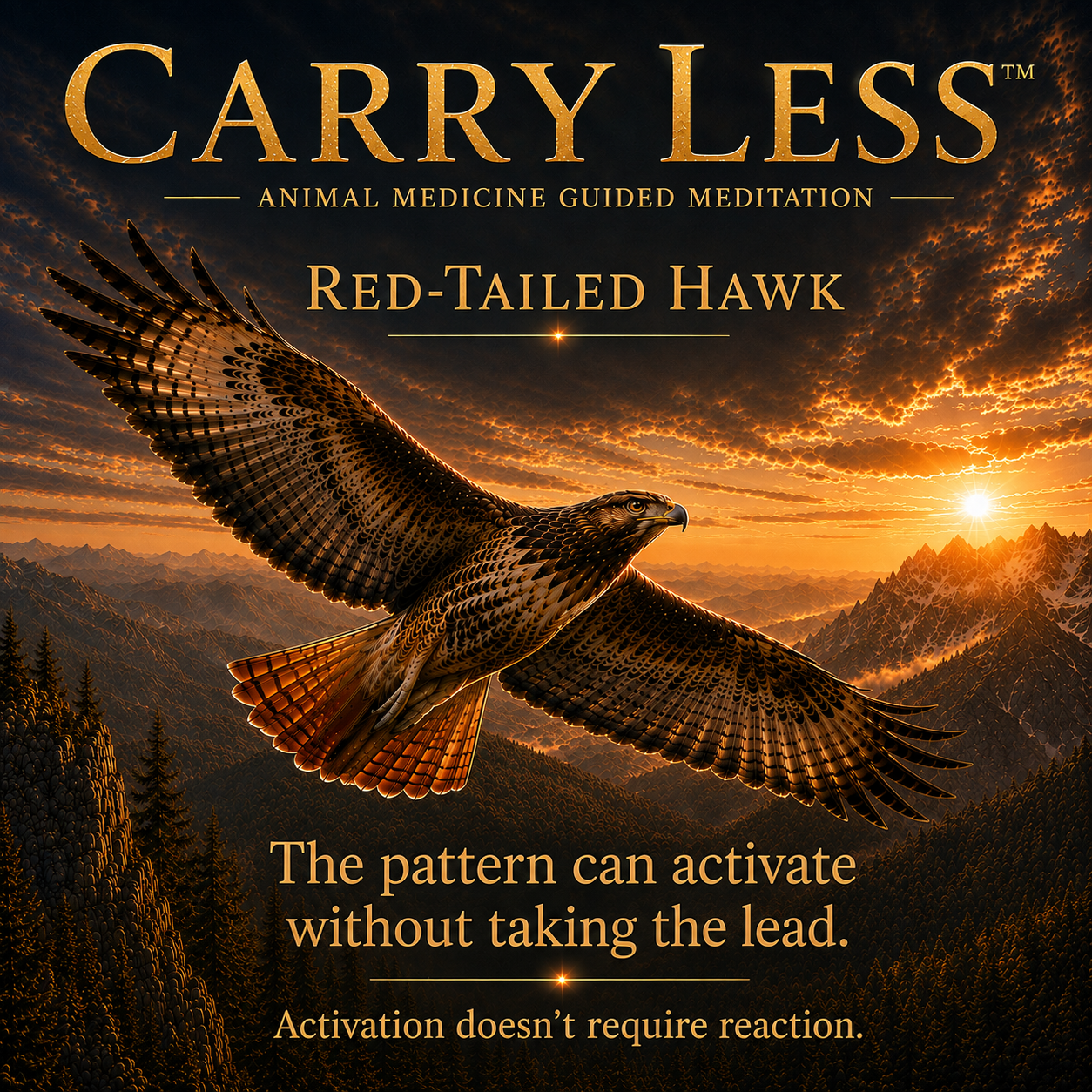 The Carry Less™ Animal Medicine Journeys