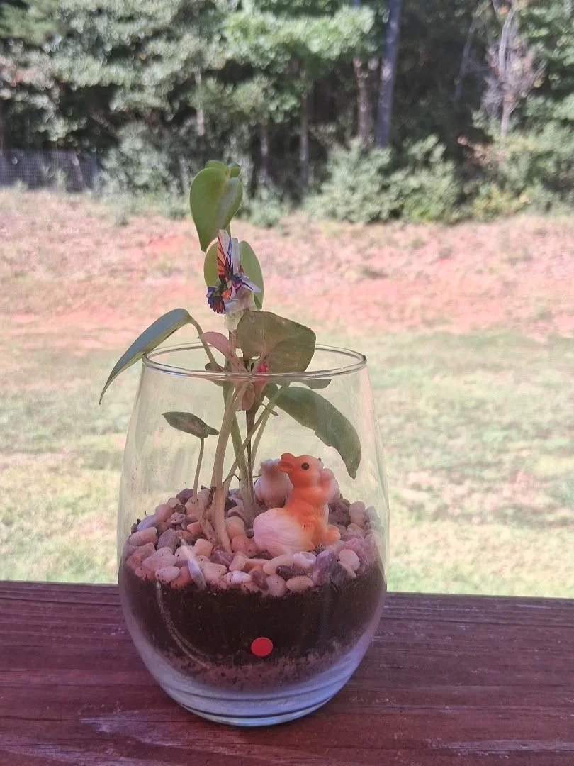 Mini-terrarium class