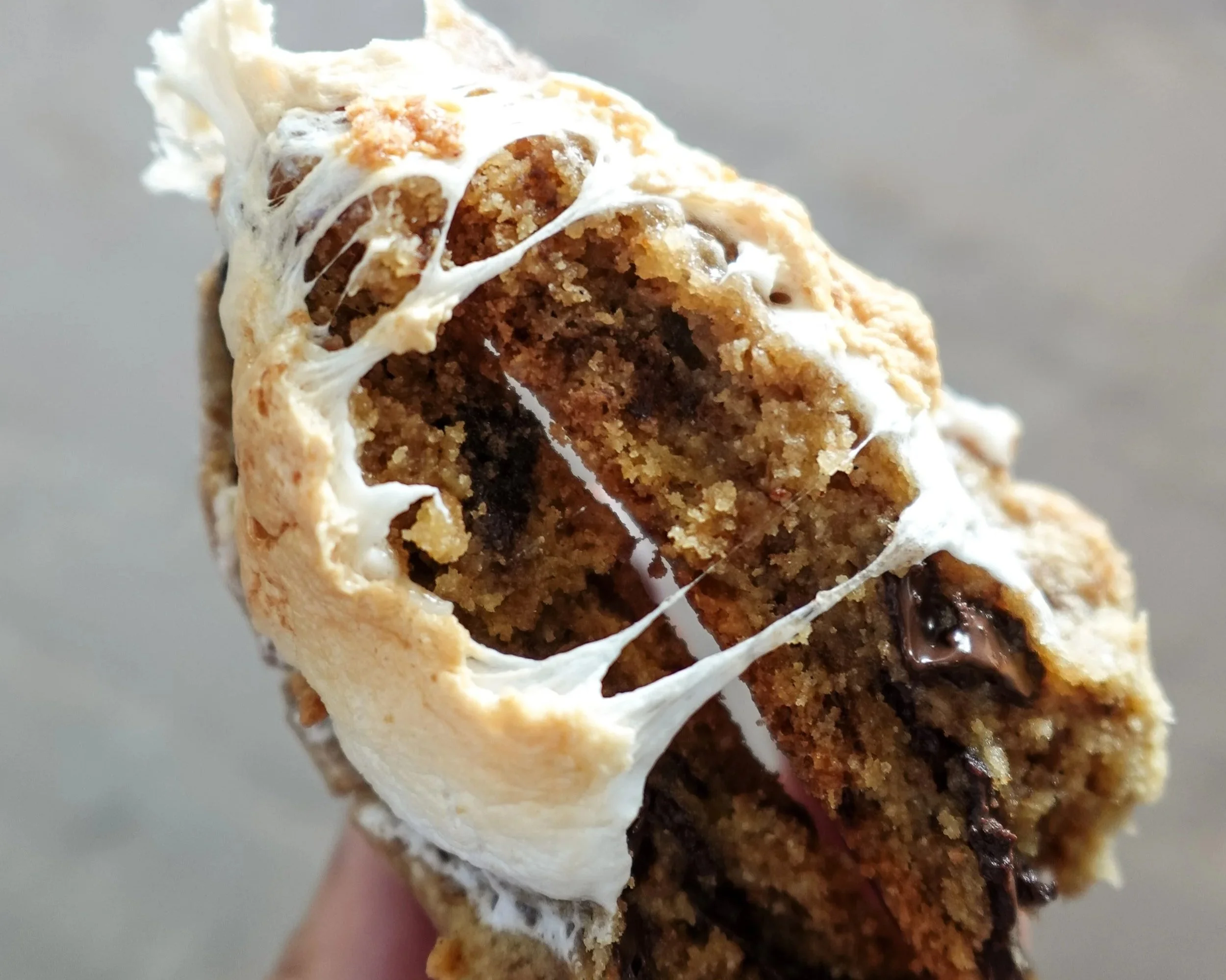 Toasted Dark Chocolate S'mores Cookie