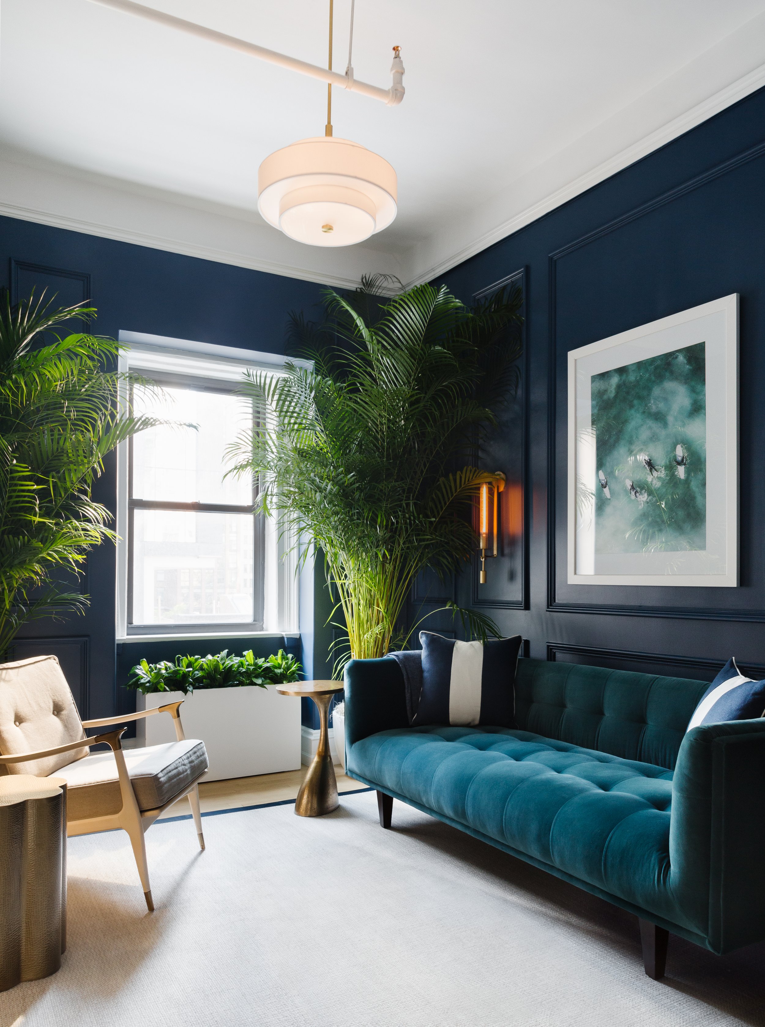 Navy Room - Clarity Health + Wellness 2.jpg