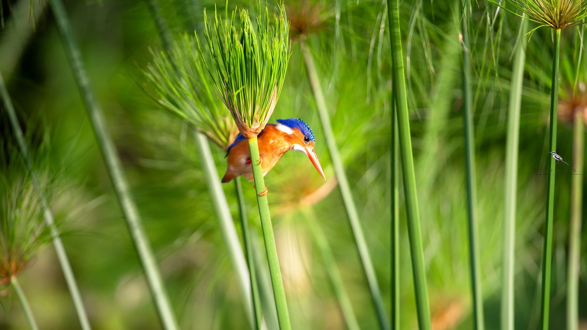 Sam Horner Photography-9.jpg