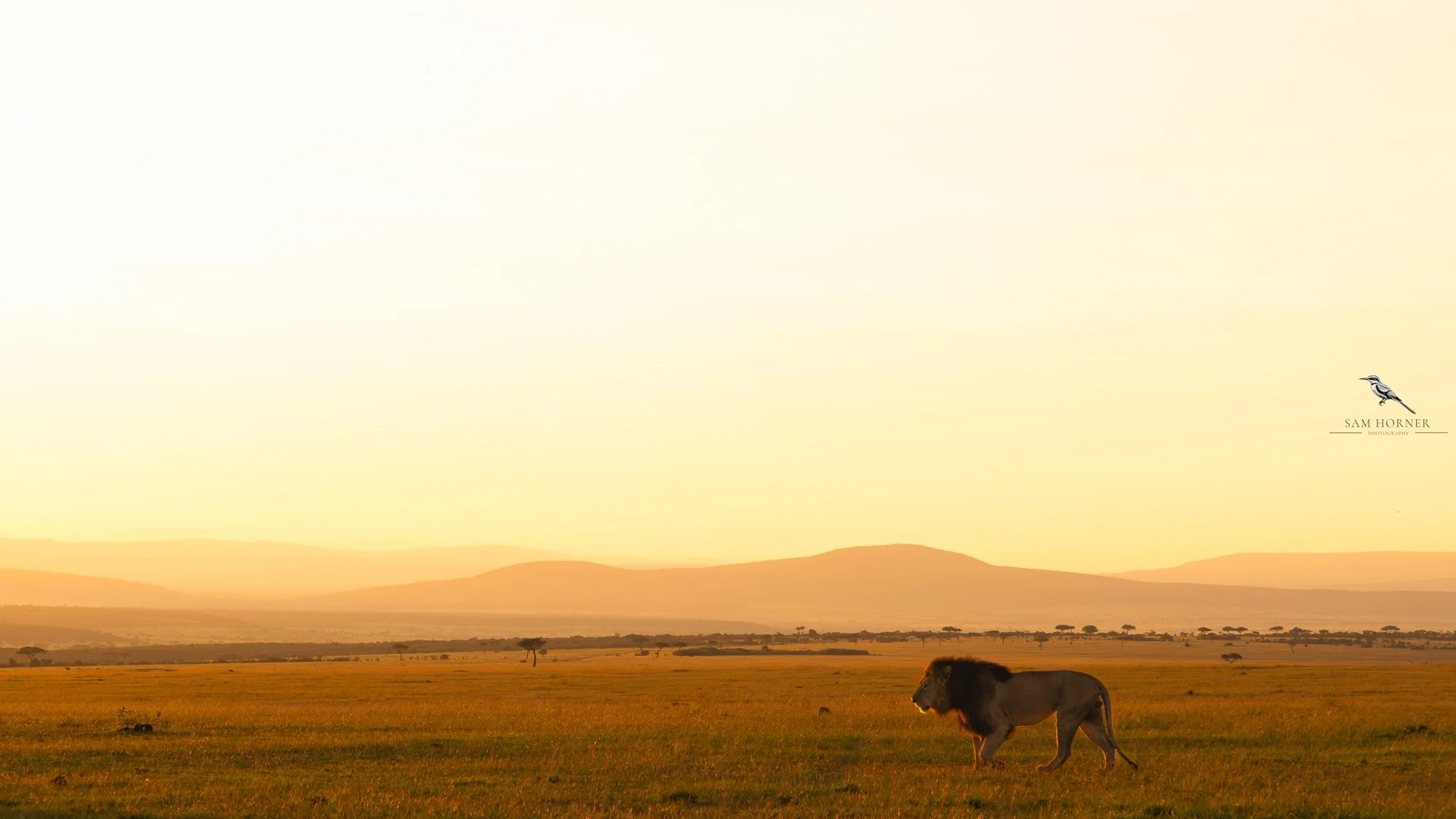 Sam Horner Photography-2.jpg