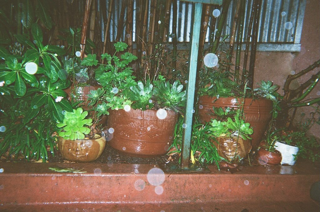 ENCAPSULATION 🪴

1. Our landscaping, always improving thanks to @teresaolson2000 
2. Jennie mixing dough in our finally functional mixer
3. A bustling Wednesday afternoon 
4. Ben&rsquo;s parents visiting UQBAR for the first time
5. Playing Jenga wit